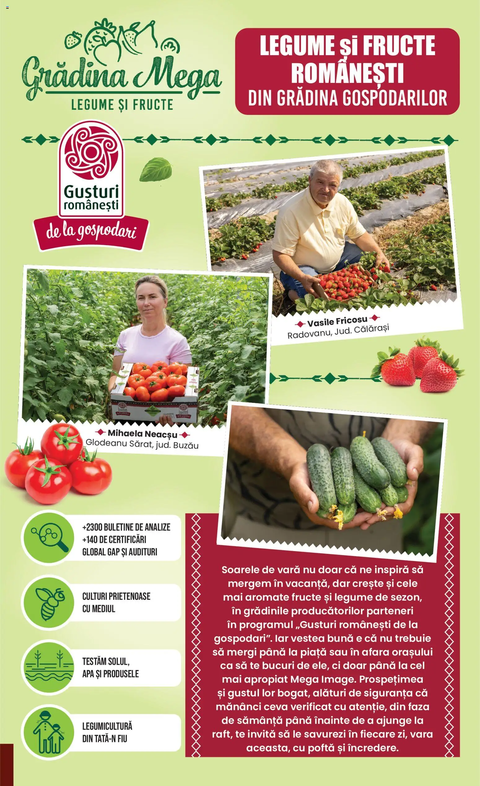 Catalog Mega Image 2 - 7 Iulie 2026 | Pagina 7
