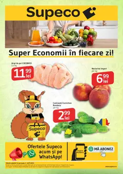 Catalog Supeco