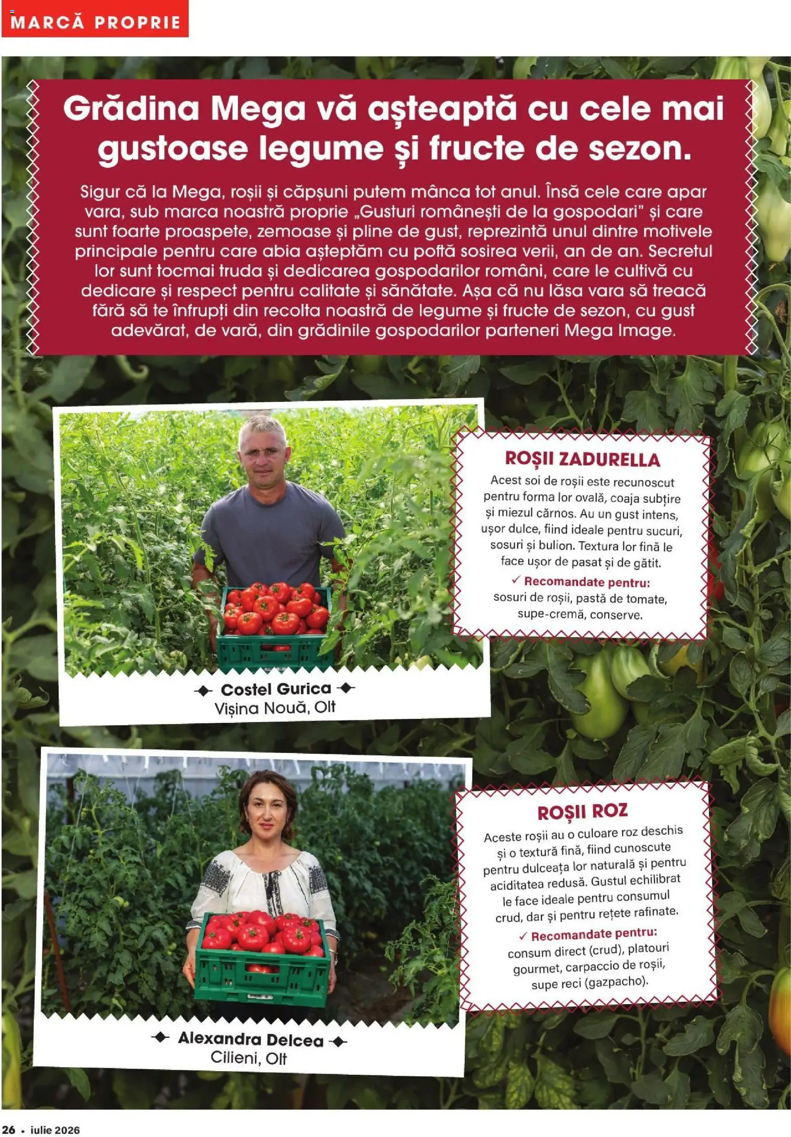 Catalog Mega Image 2 - 27 Iulie 2026 | Pagina 26 | Produse: Çatal, Roșii, Legume, Fructe