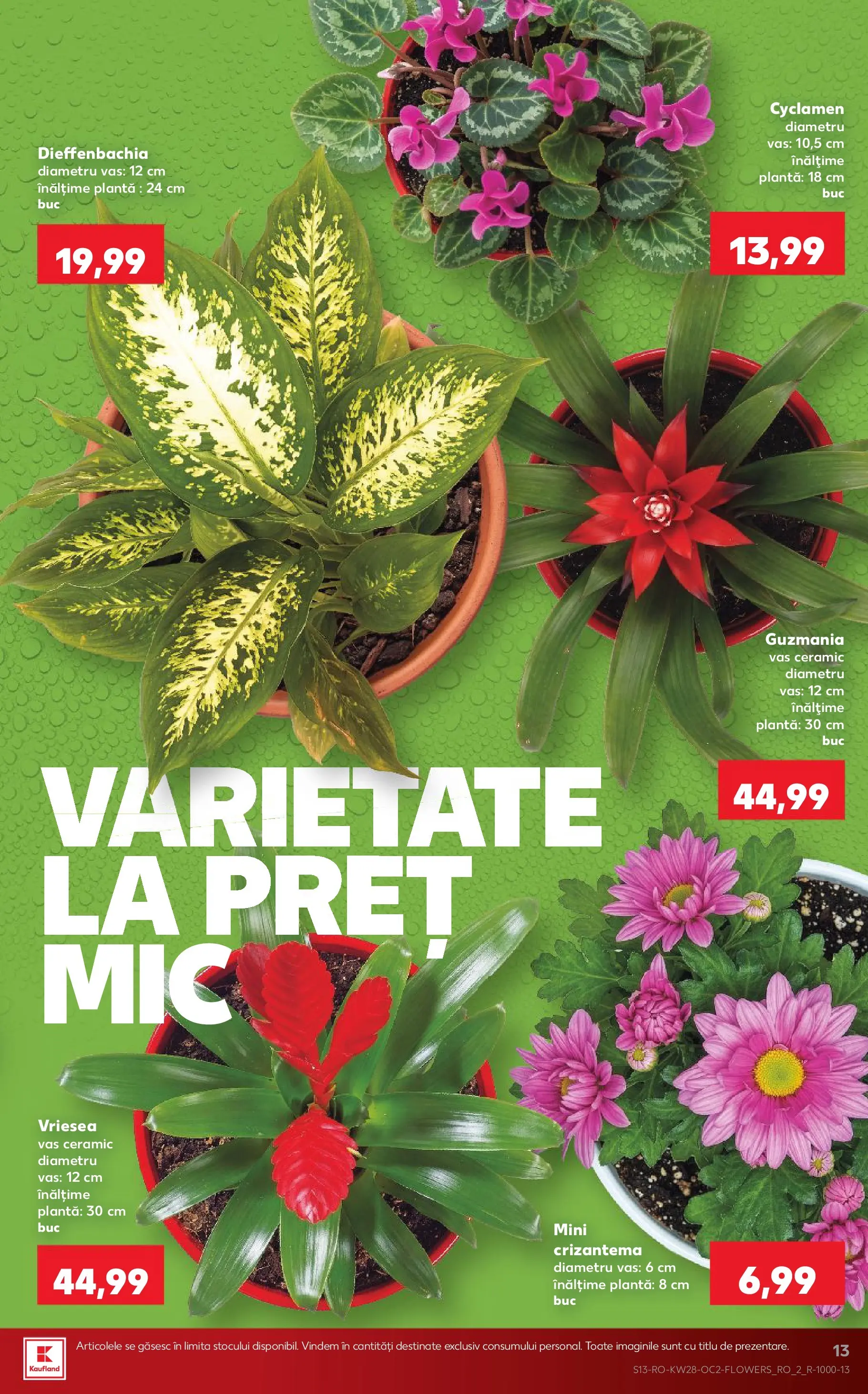 Catalog Kaufland 8 - 13 Iulie 2026 | Pagina 13