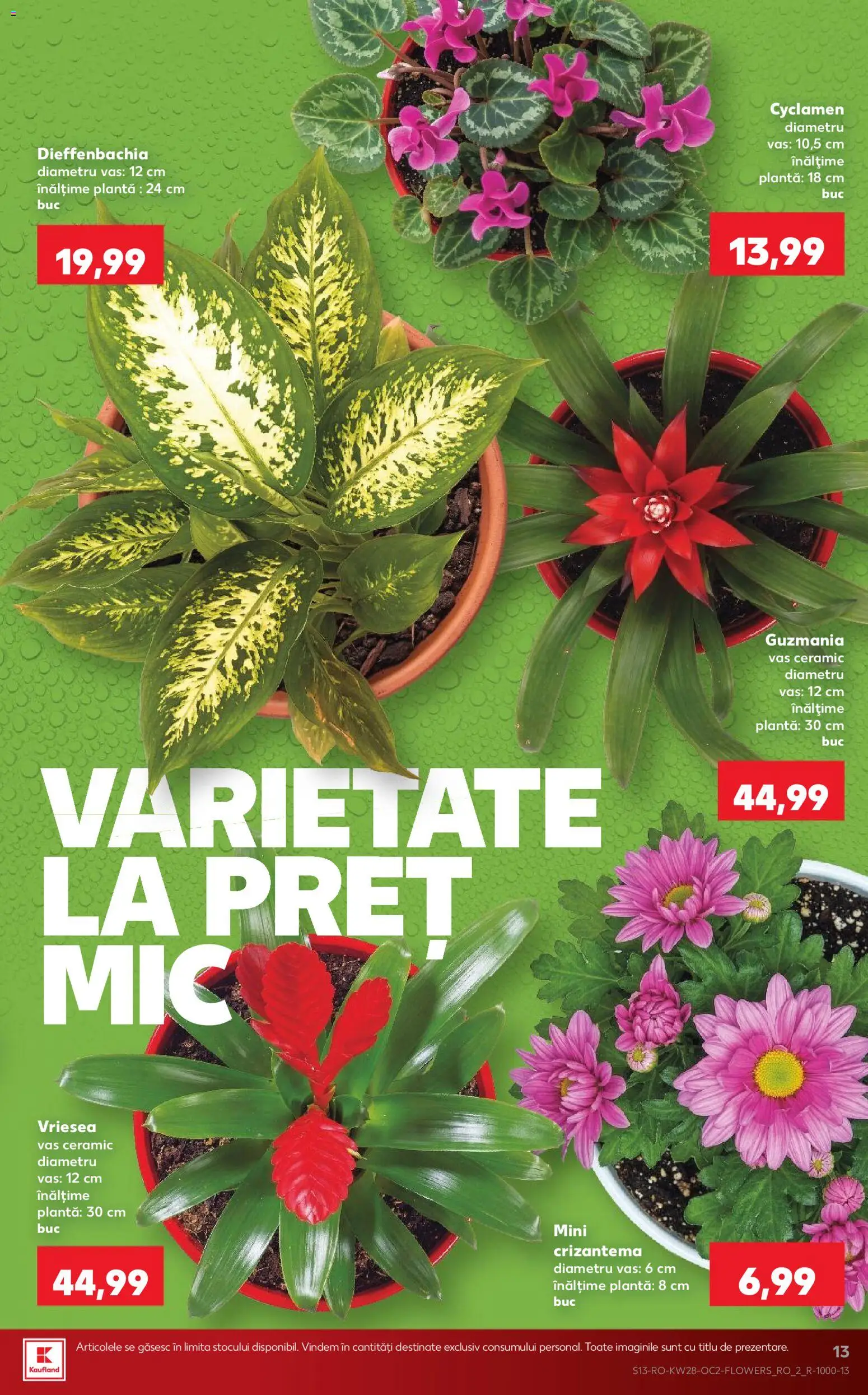 Catalog Kaufland 8 - 13 Iulie 2026 | Pagina 13