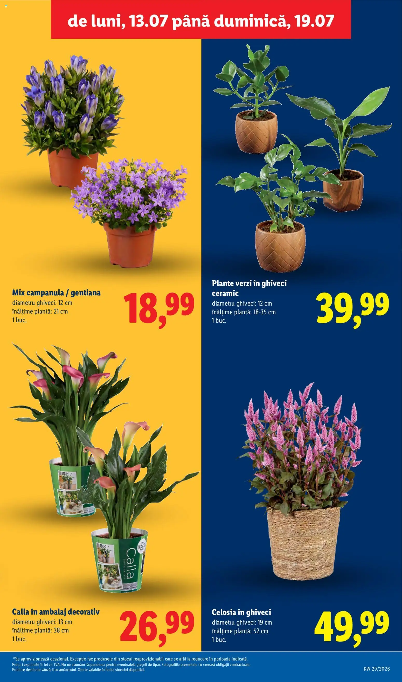 Catalog LIDL 13 - 18 Iulie 2026 | Pagina 59 | Produse: Ghiveci