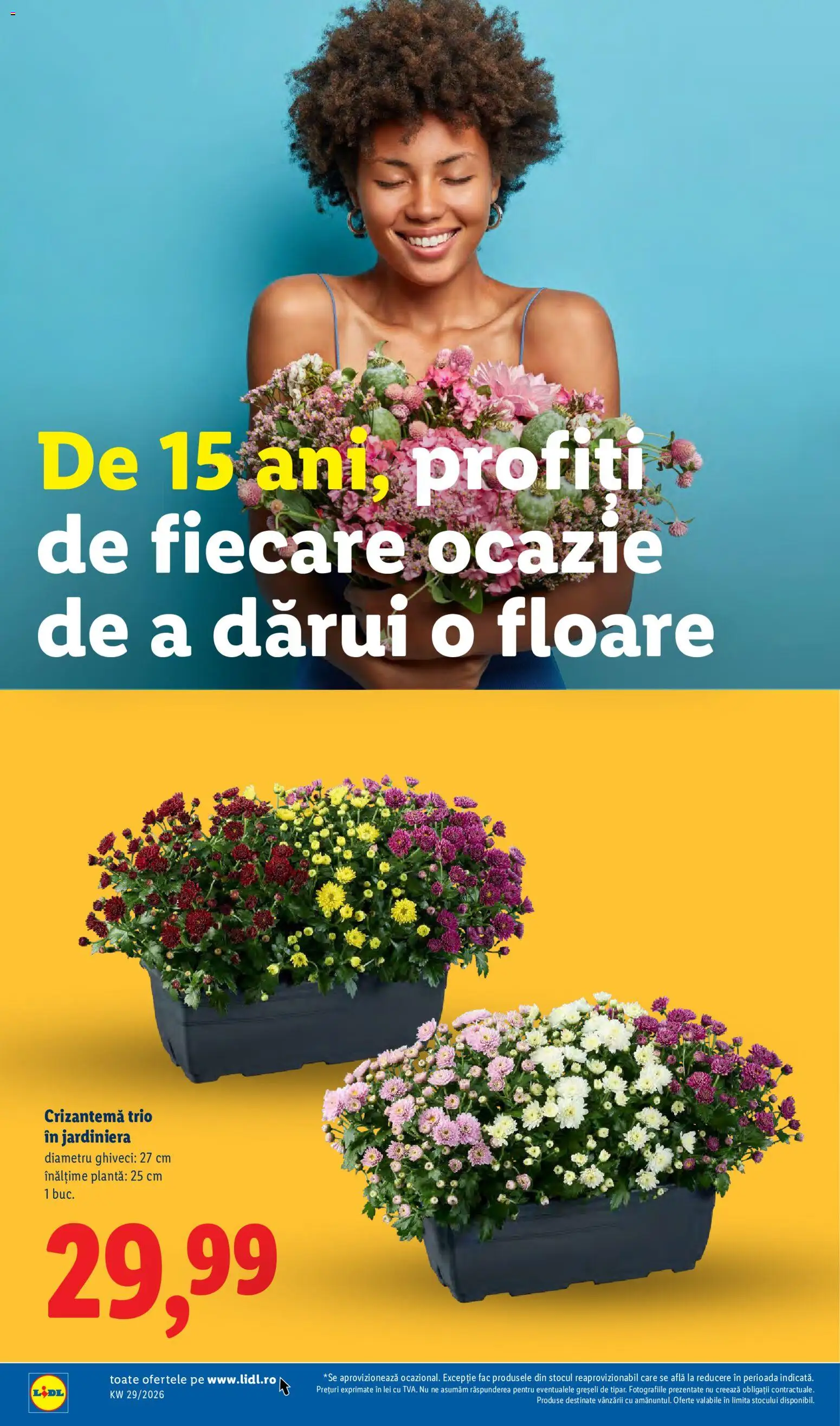 Catalog LIDL 13 - 18 Iulie 2026 | Pagina 60 | Produse: Ghiveci