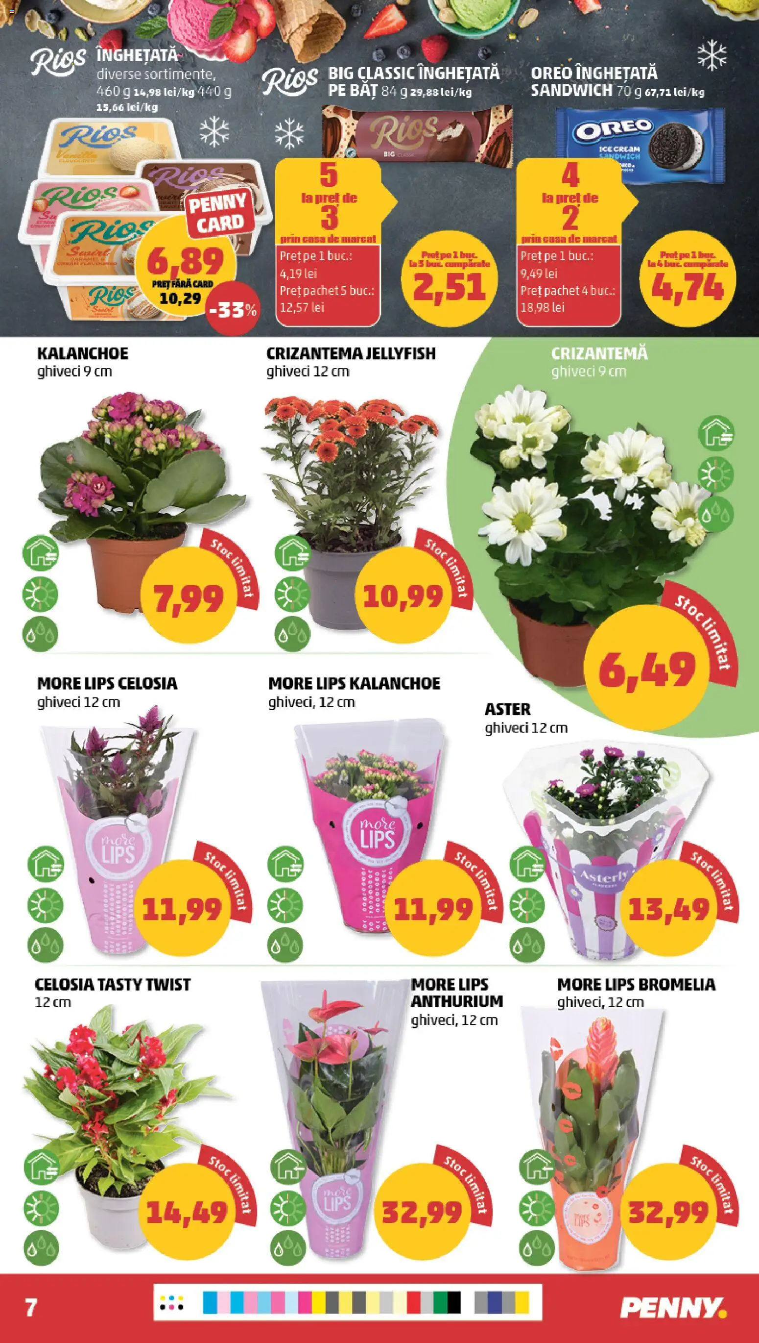 Catalog PENNY Market 8 - 13 Iulie 2026 | Pagina 7 | Produse: Bromelia, Ghiveci, Înghețată