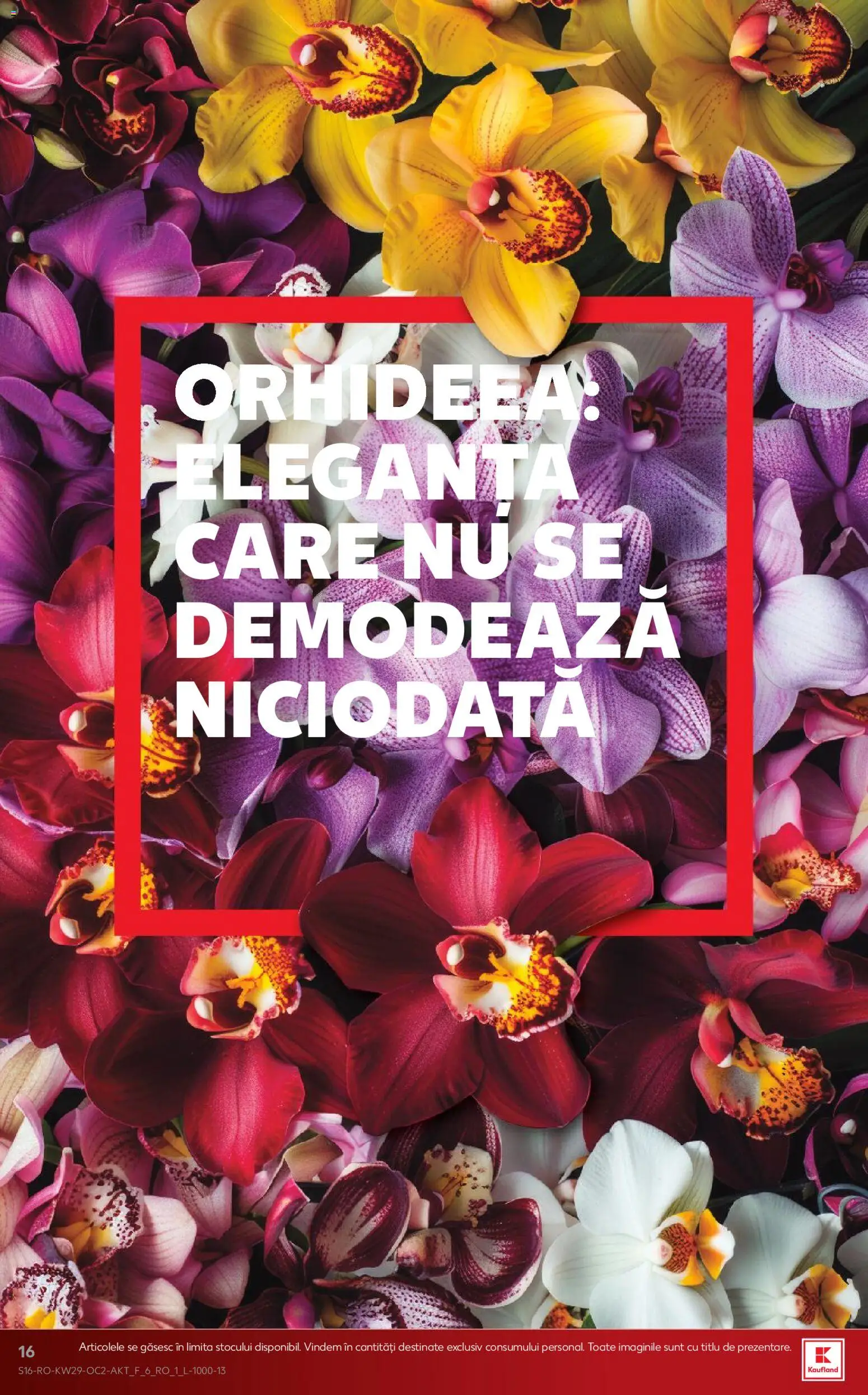 Catalog Kaufland 15 - 20 Iulie 2026 | Pagina 16