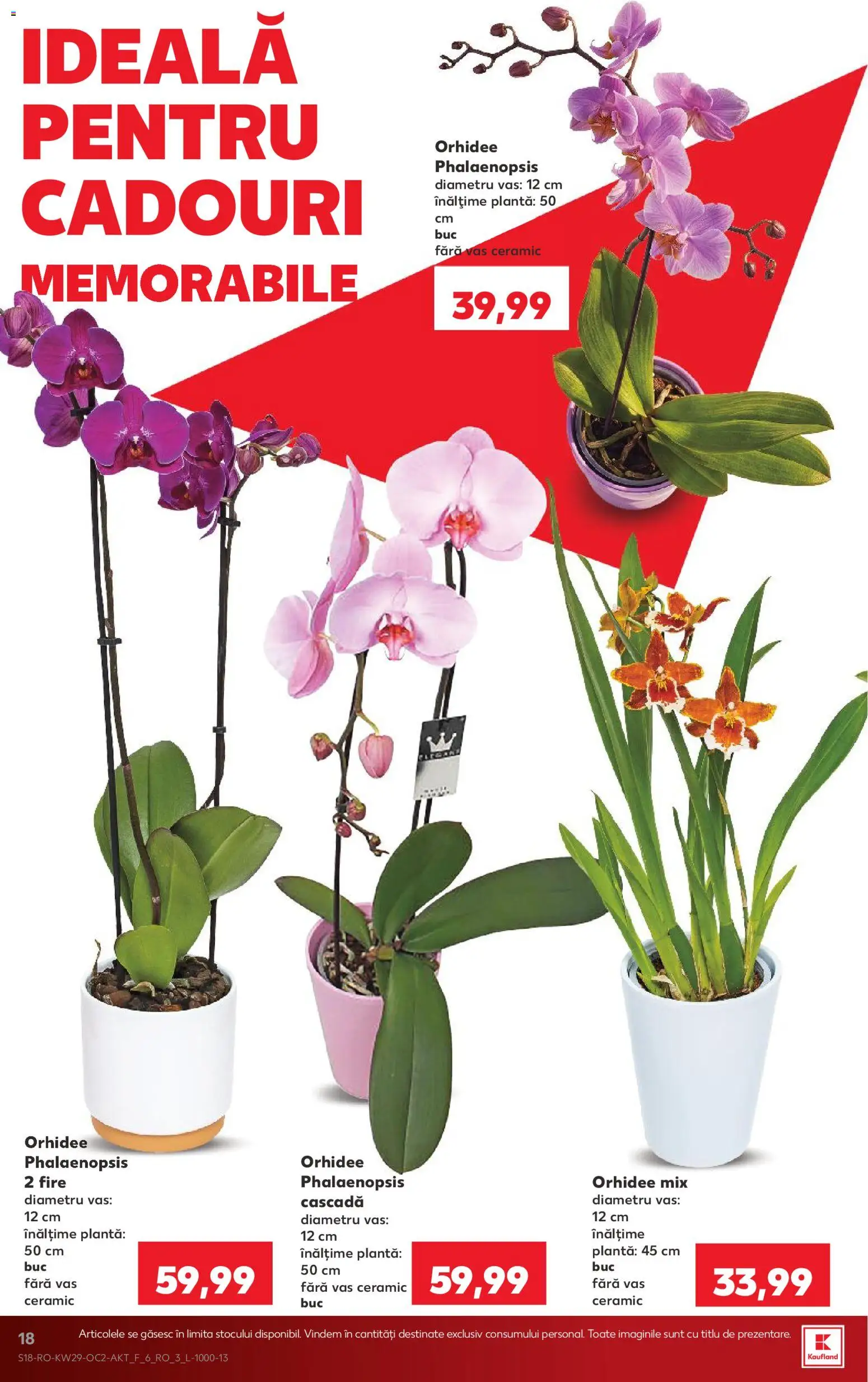 Catalog Kaufland 15 - 20 Iulie 2026 | Pagina 18 | Produse: Orhidee