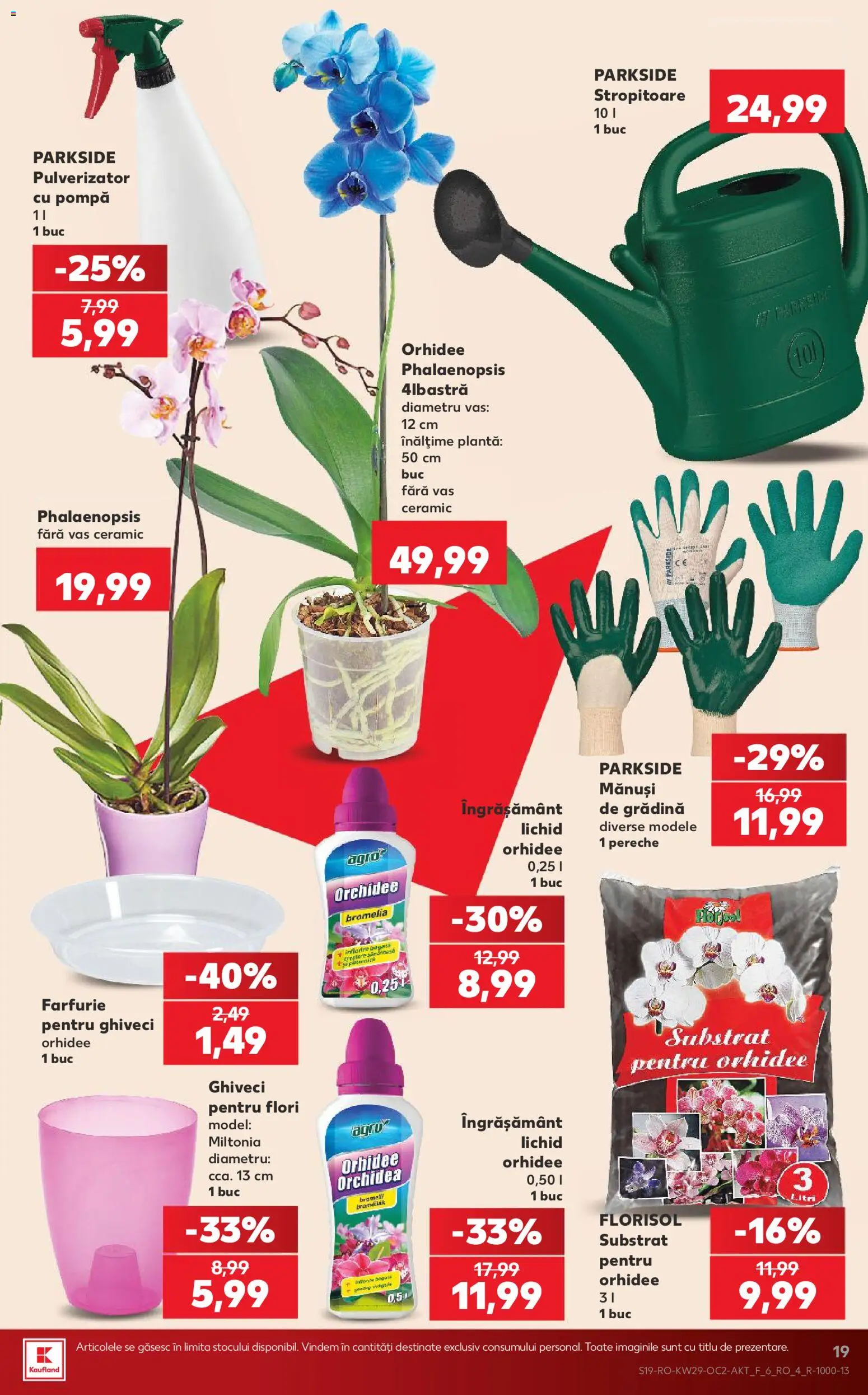 Catalog Kaufland 15 - 20 Iulie 2026 | Pagina 19 | Produse: Mănuși, Bromelia, Orhidee, Farfurie