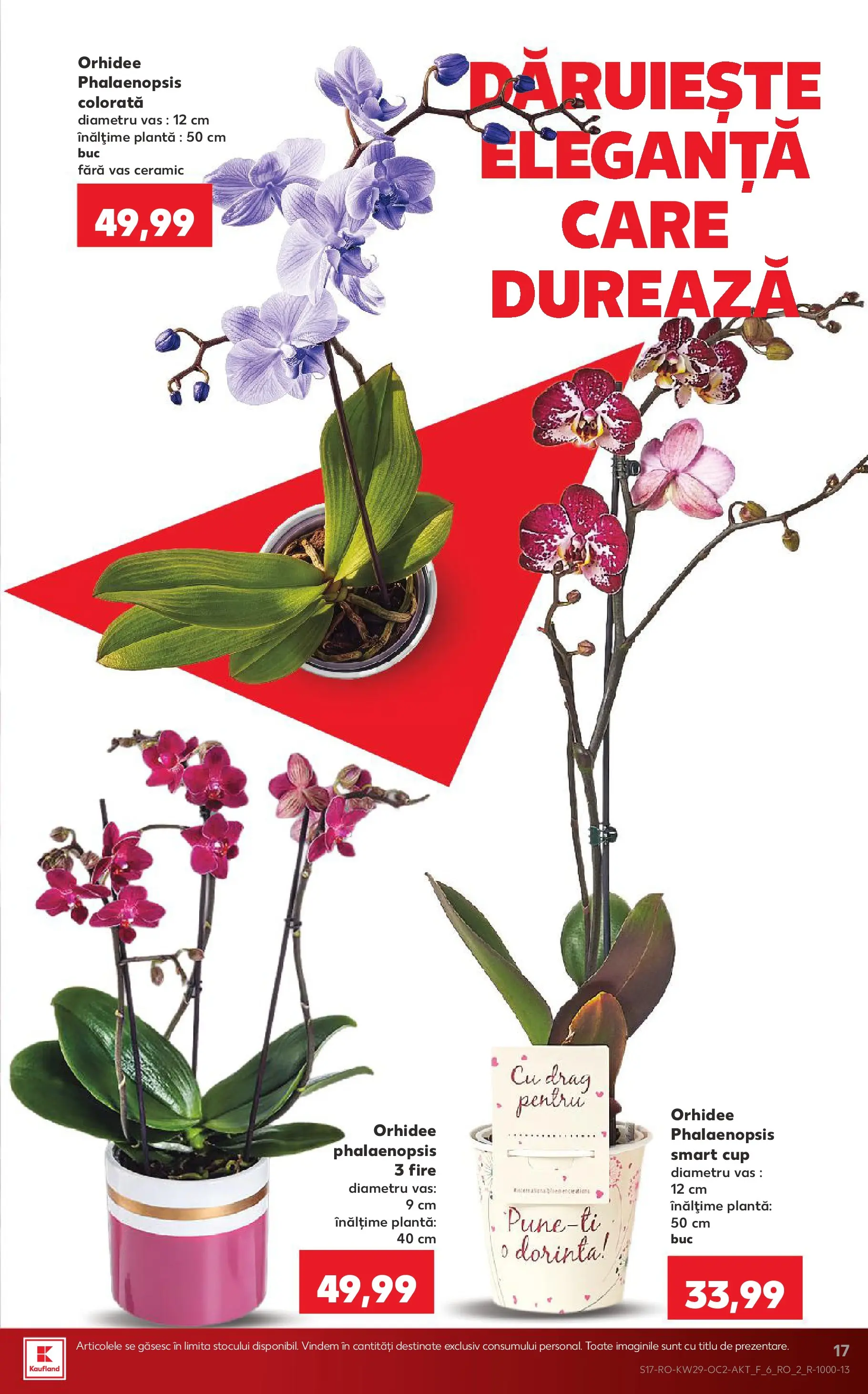 Catalog Kaufland 15 - 20 Iulie 2026 | Pagina 17 | Produse: Orhidee