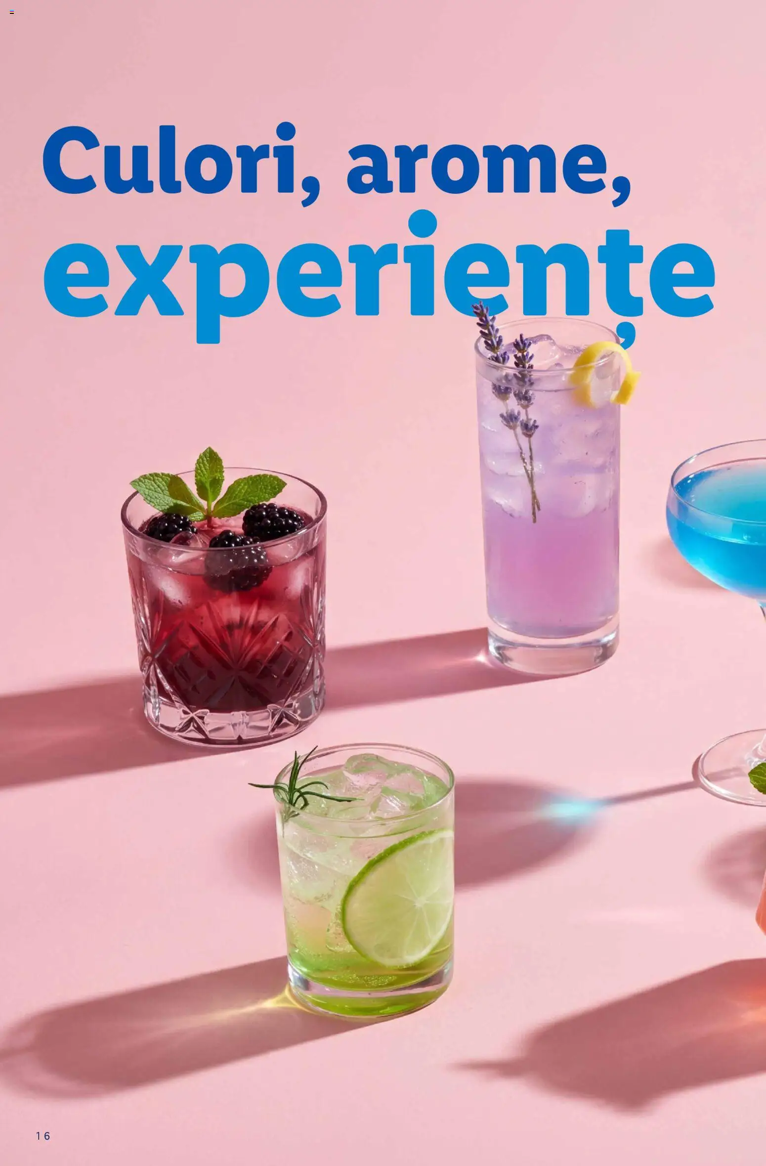 Catalog LIDL 13 Iulie - 12 Septembrie 2026 | Pagina 16