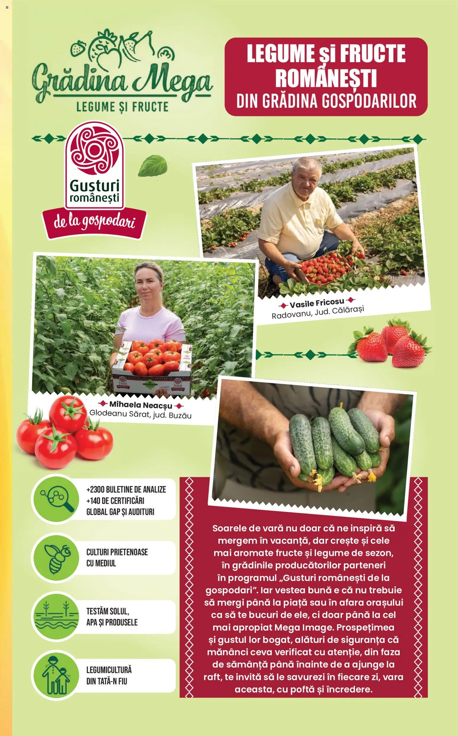 Catalog Mega Image 16 - 21 Iulie 2026 | Pagina 11 | Produse: Apă, Legume, Fructe