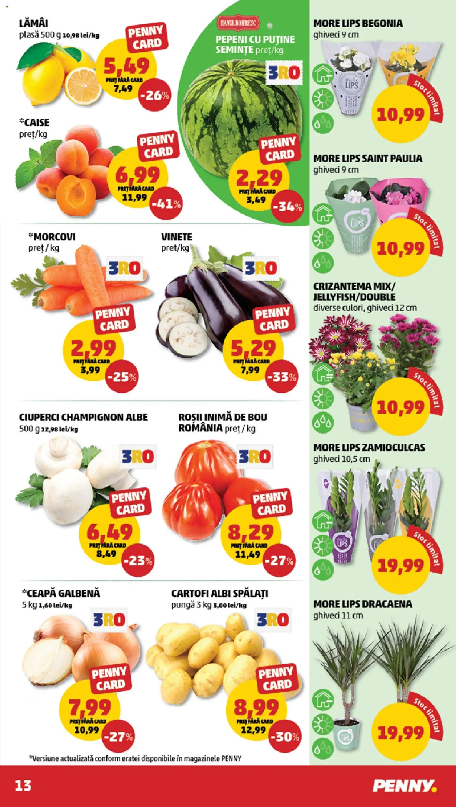 Catalog PENNY Market 15 - 20 Iulie 2026 | Pagina 13 | Produse: Pungă, Ceapă galbenă, Ghiveci, Ciuperci