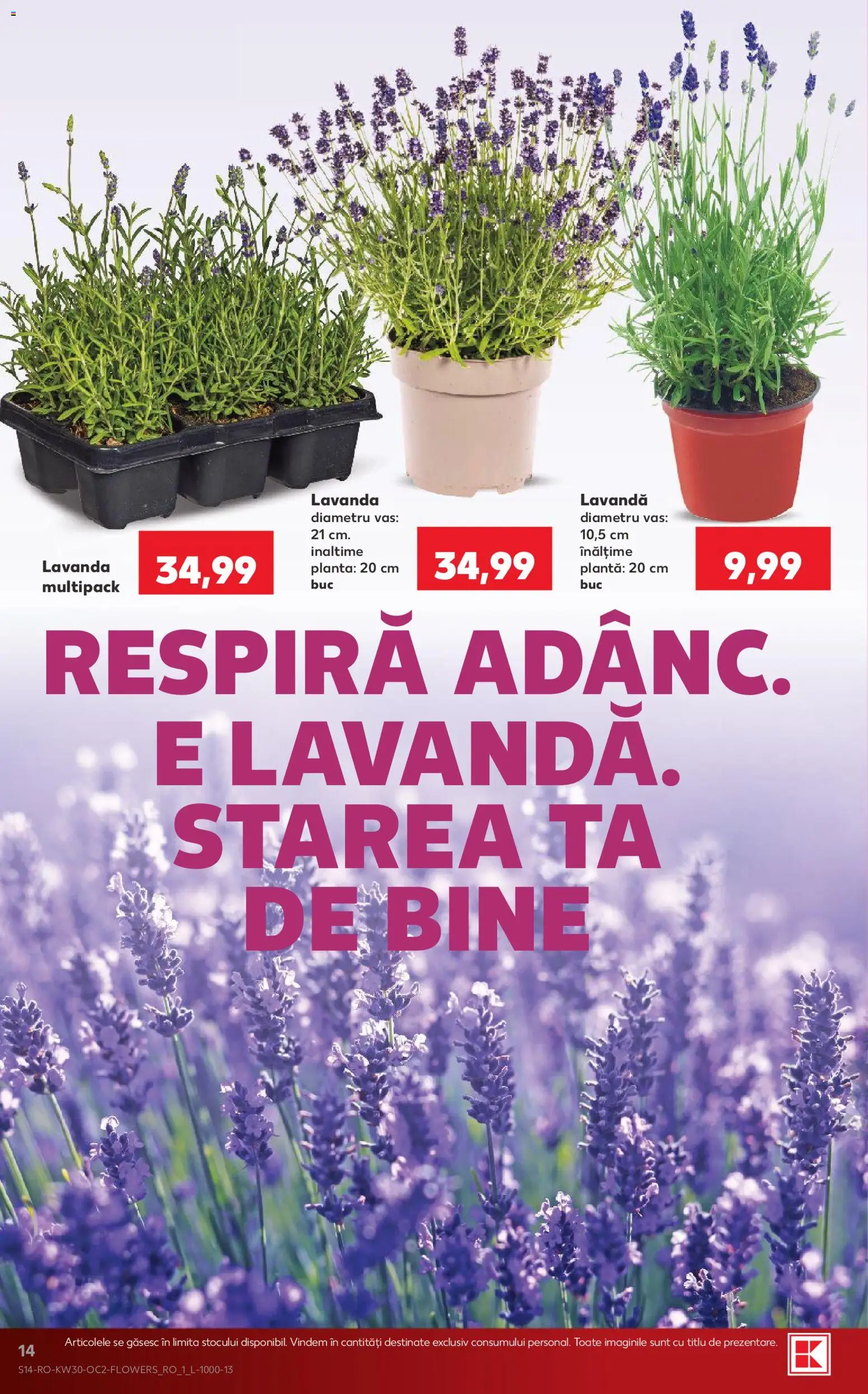 Catalog Kaufland 22 - 27 Iulie 2026 | Pagina 14