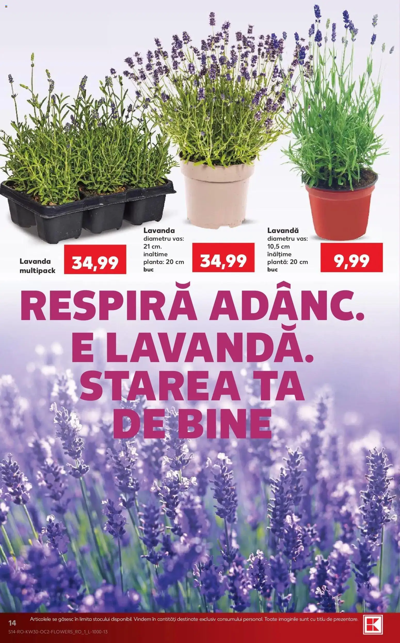 Catalog Kaufland 22 - 27 Iulie 2026 | Pagina 14