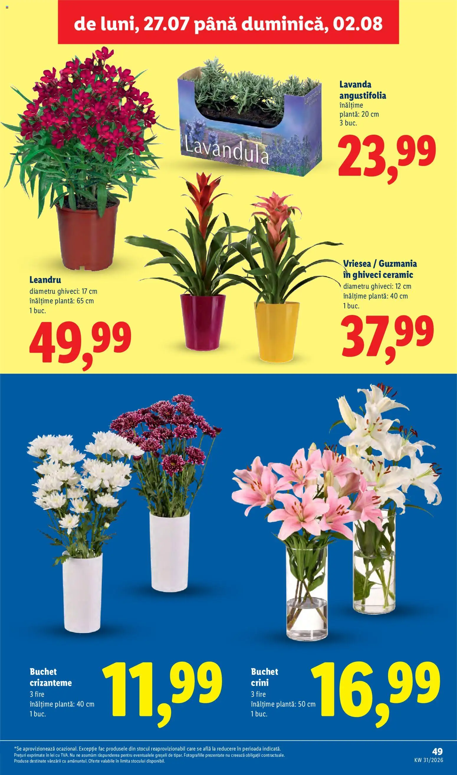 Catalog LIDL 27 Iulie - 1 August 2026 | Pagina 49 | Produse: Ghiveci