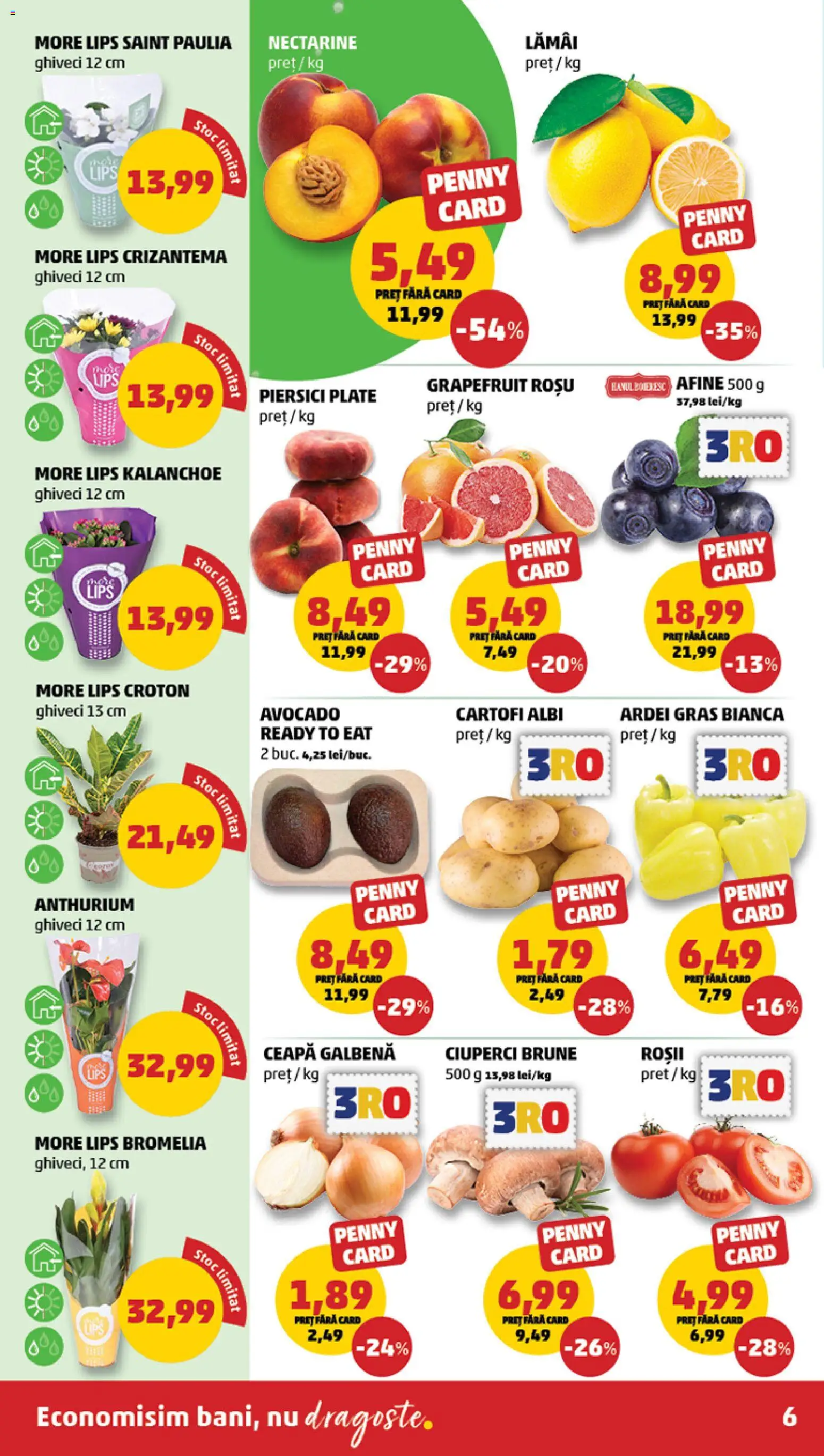 Catalog PENNY Market 22 - 27 Iulie 2026 | Pagina 6 | Produse: Temizlik kovası, Bromelia, Roșii, Ceapă