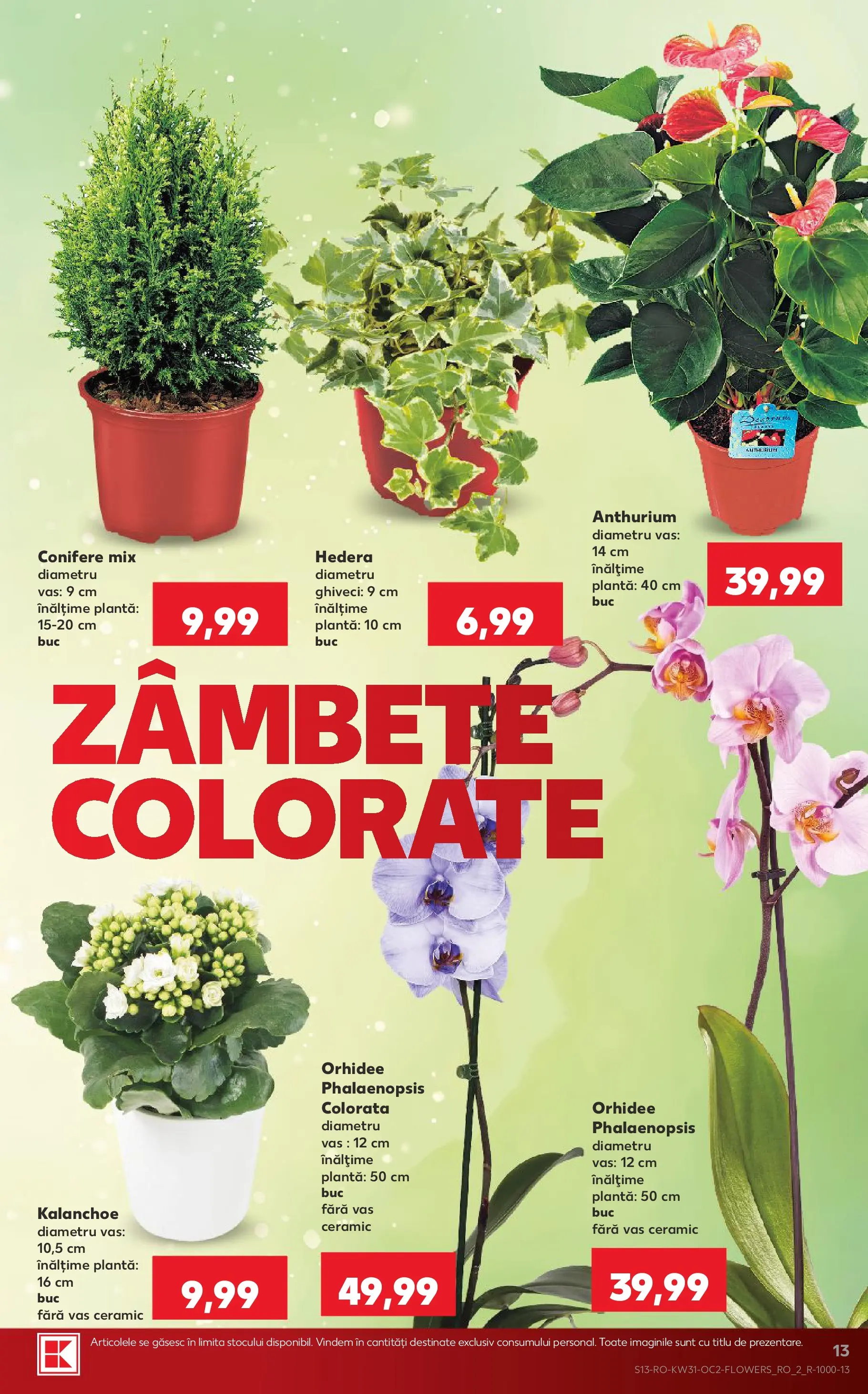 Catalog Kaufland 29 Iulie - 3 August 2026 | Pagina 13 | Produse: Orhidee, Ghiveci