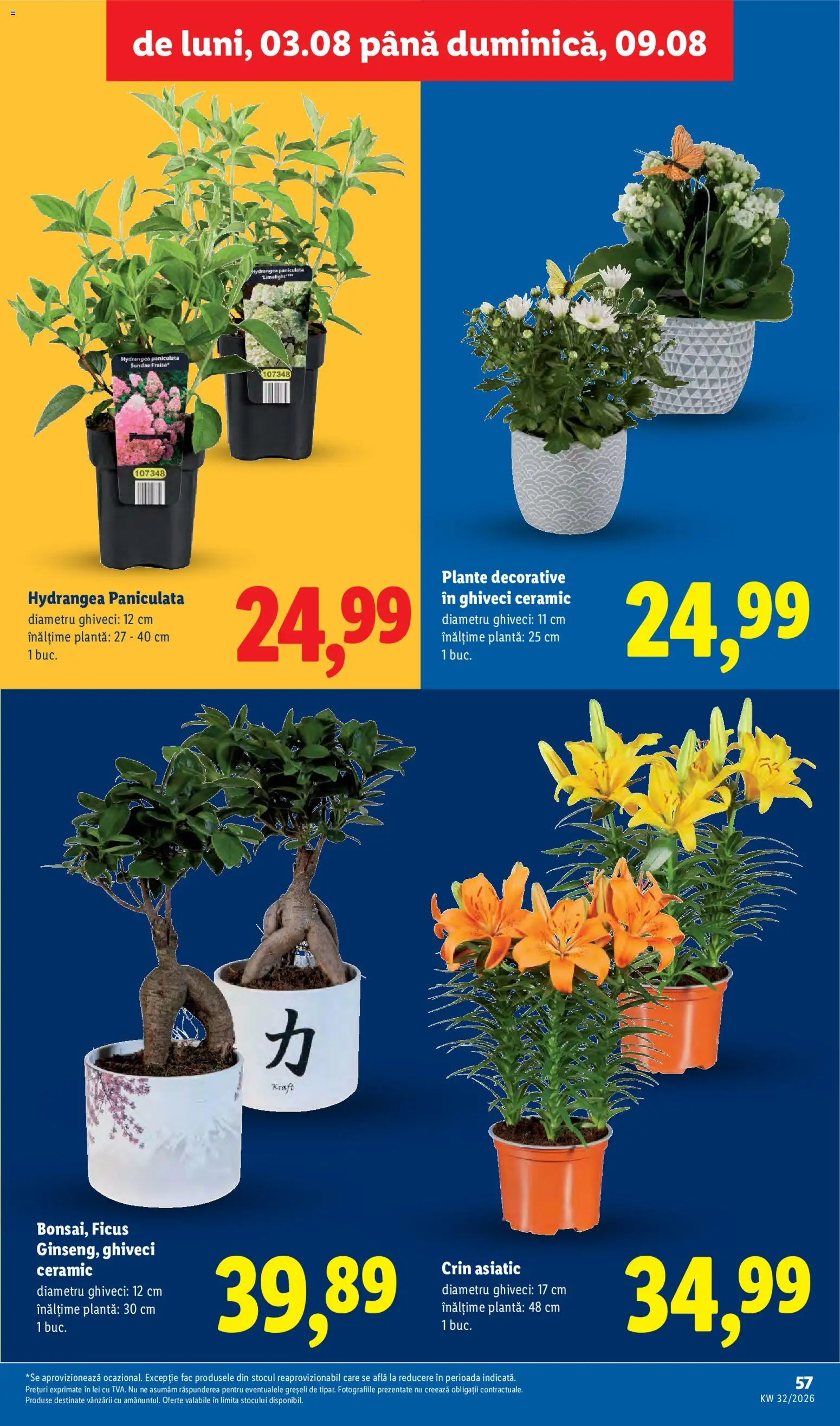 Catalog LIDL 3 - 8 August 2026 | Pagina 57 | Produse: Ghiveci