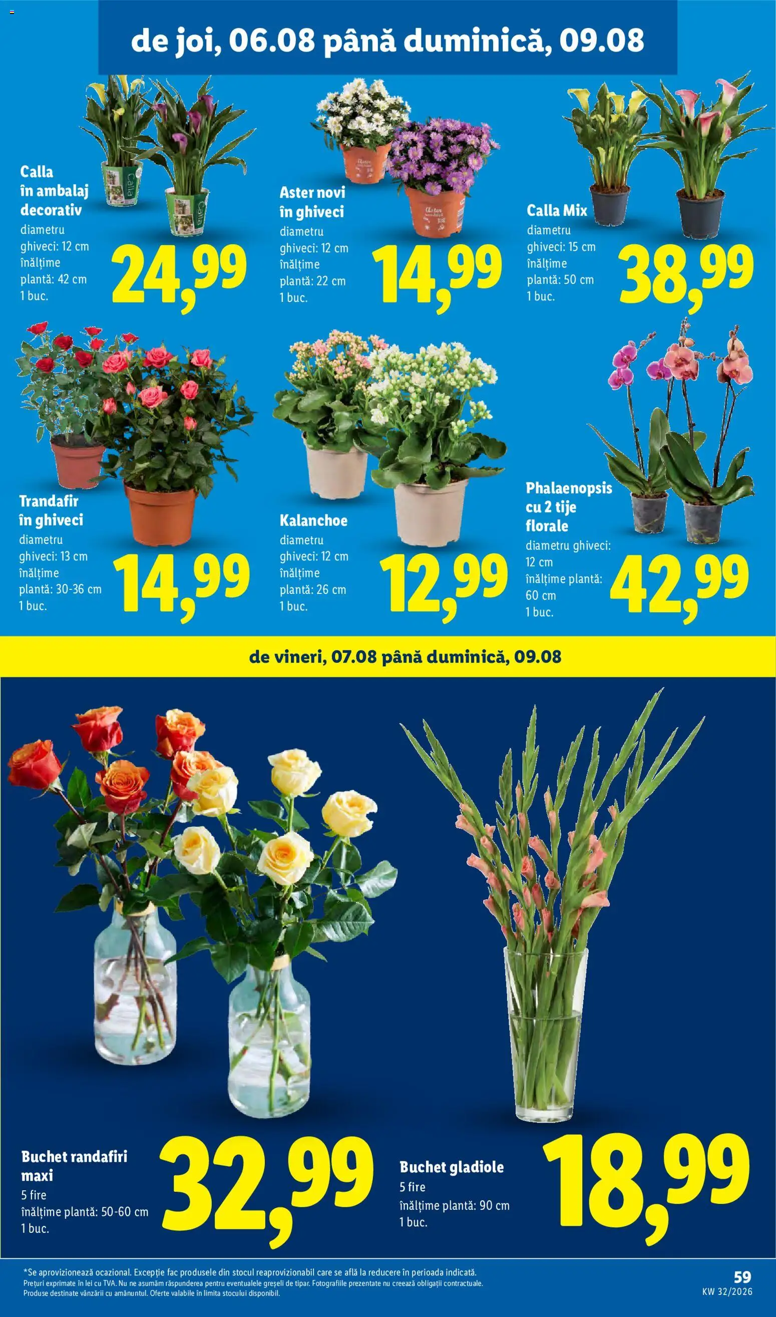 Catalog LIDL 3 - 8 August 2026 | Pagina 59 | Produse: Trandafir, Ghiveci