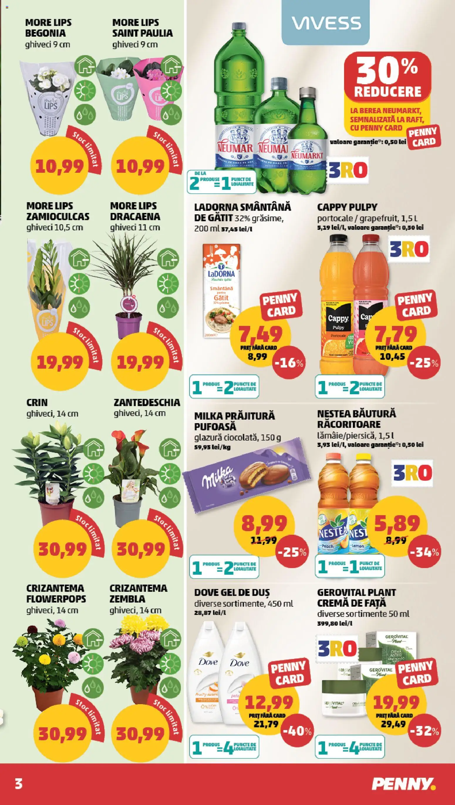 Catalog PENNY Market 29 Iulie - 3 August 2026 | Pagina 3 | Produse: Duș, Ghiveci, Prăjitură, Cremă