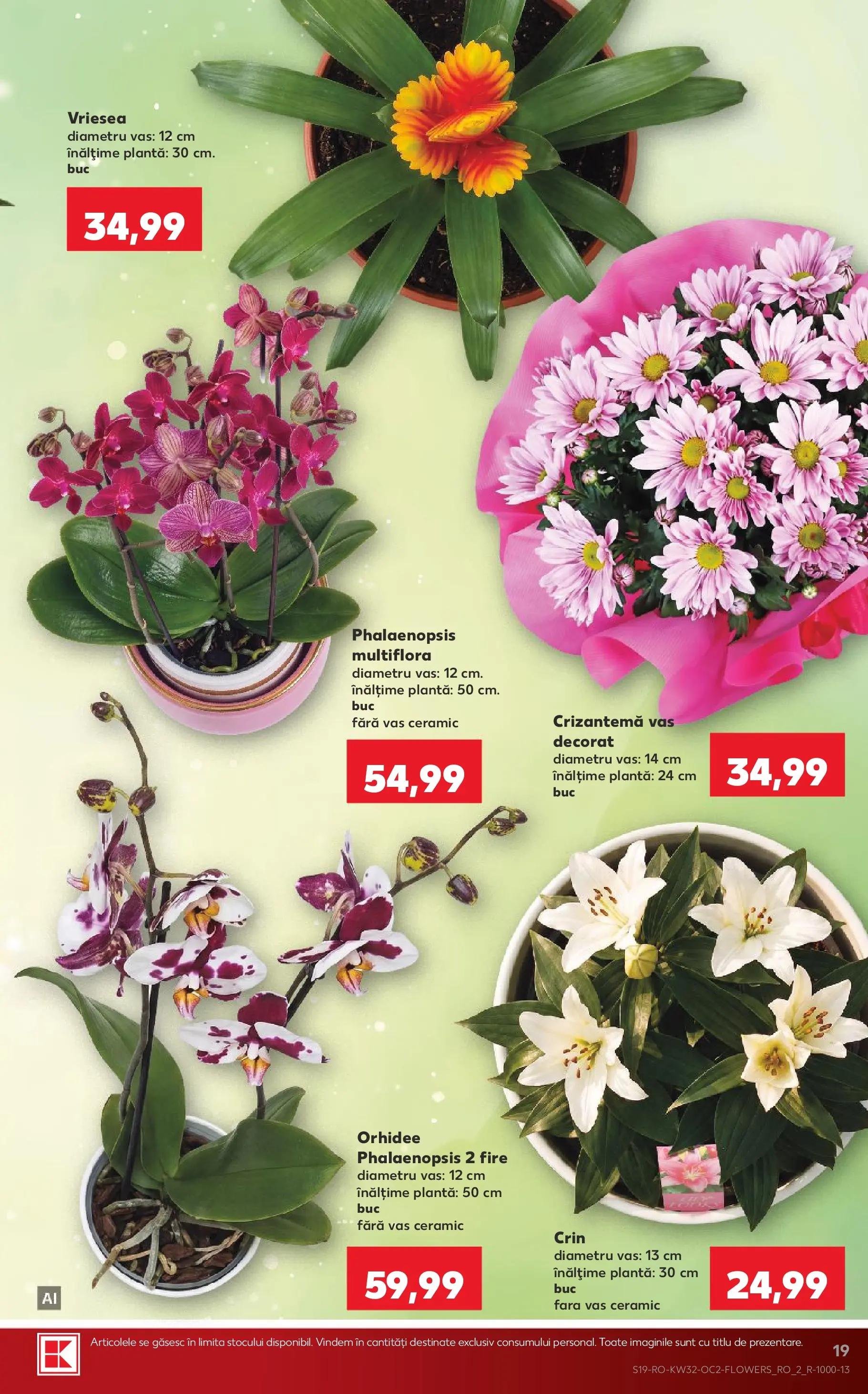 Catalog Kaufland 5 - 10 August 2026 | Pagina 19 | Produse: Orhidee