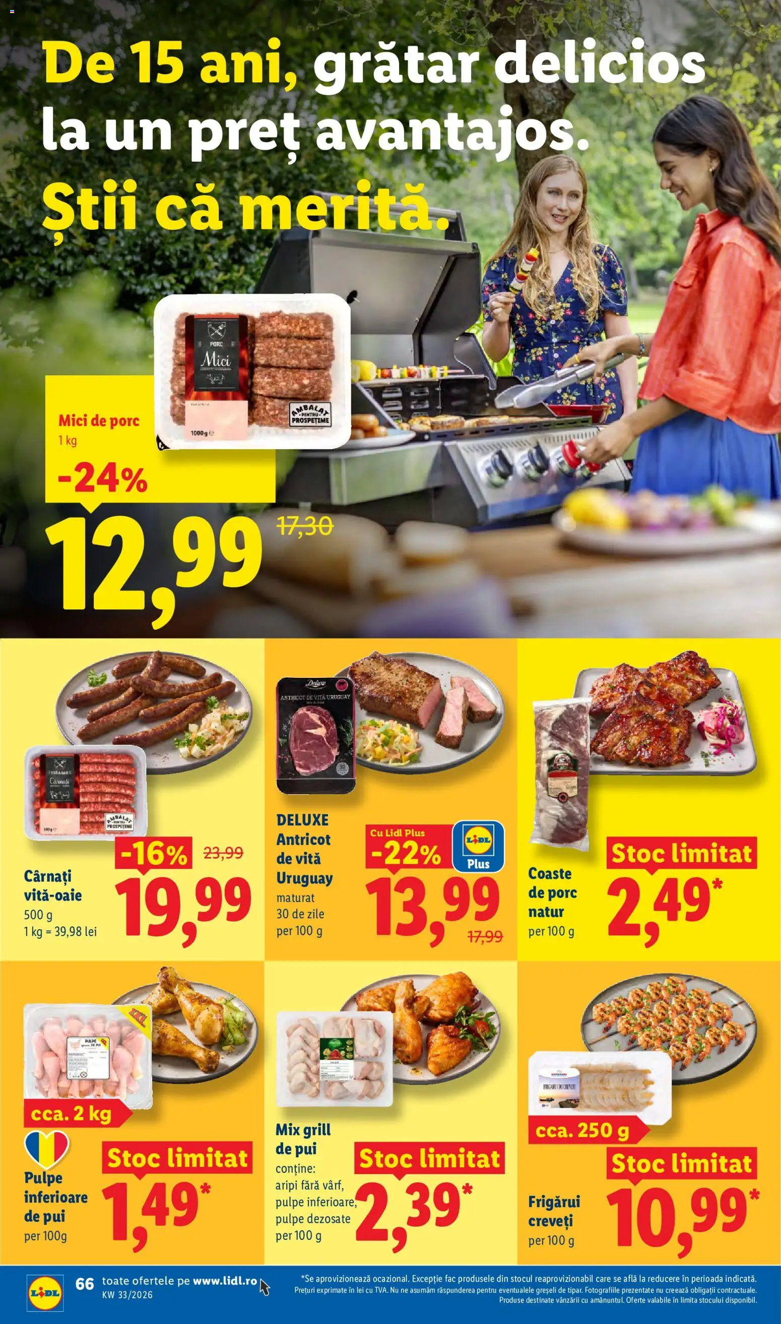 Catalog LIDL 10 - 15 August 2026 | Pagina 66 | Produse: Grill, Hacıyatmaz Kedi Oyuncağı, Yağ sökücü, Mici