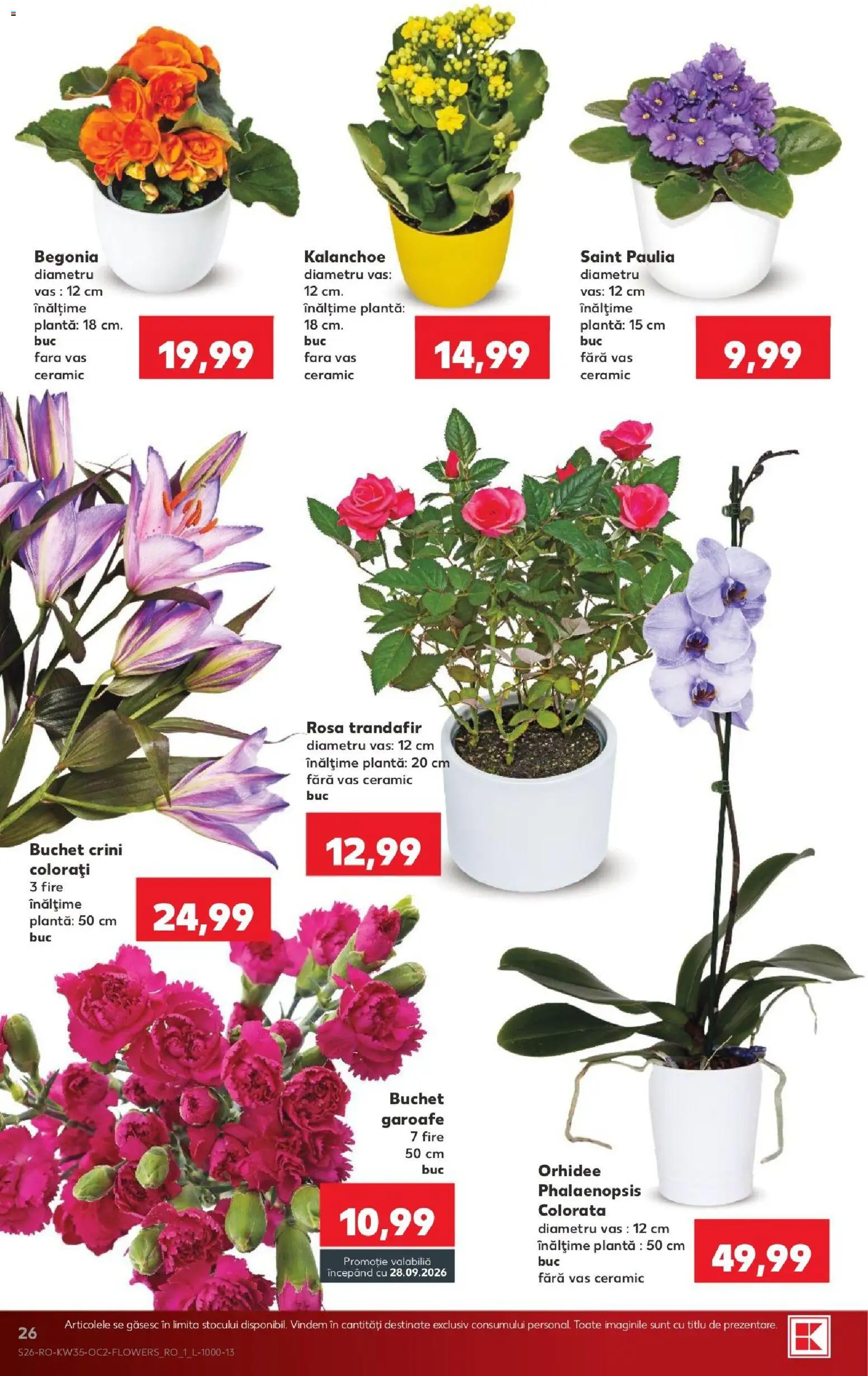 Catalog Kaufland 26 - 31 August 2026 | Pagina 26 | Produse: Trandafir, Orhidee