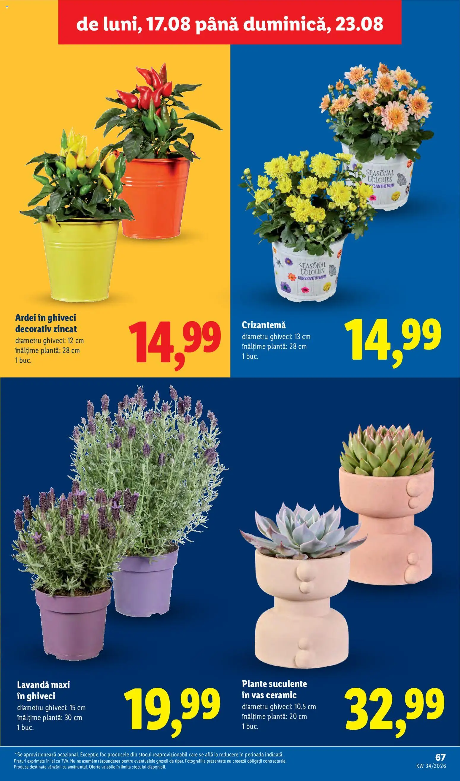 Catalog LIDL 17 - 22 August 2026 | Pagina 67 | Produse: Ghiveci, Ardei