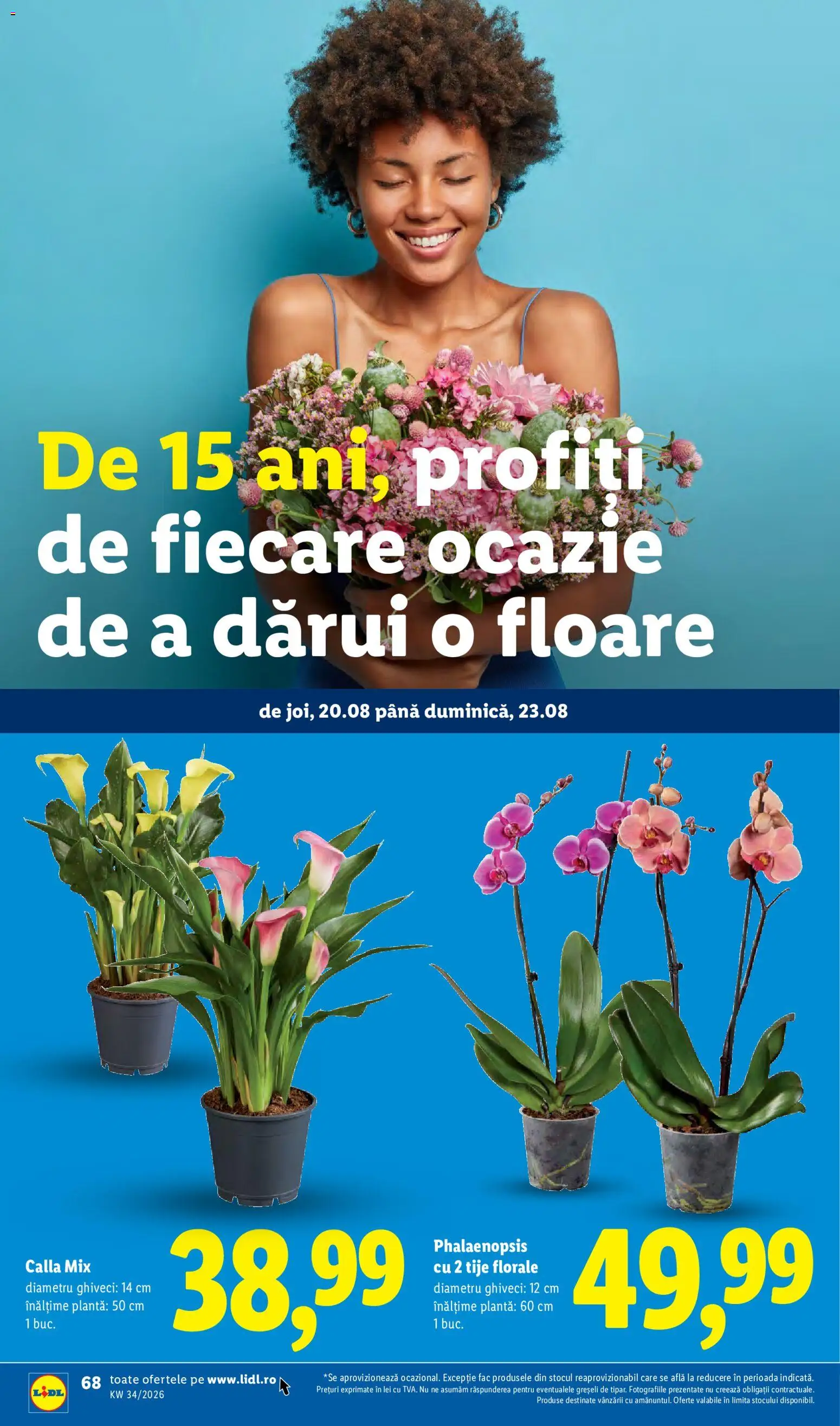 Catalog LIDL 17 - 22 August 2026 | Pagina 68 | Produse: Ghiveci