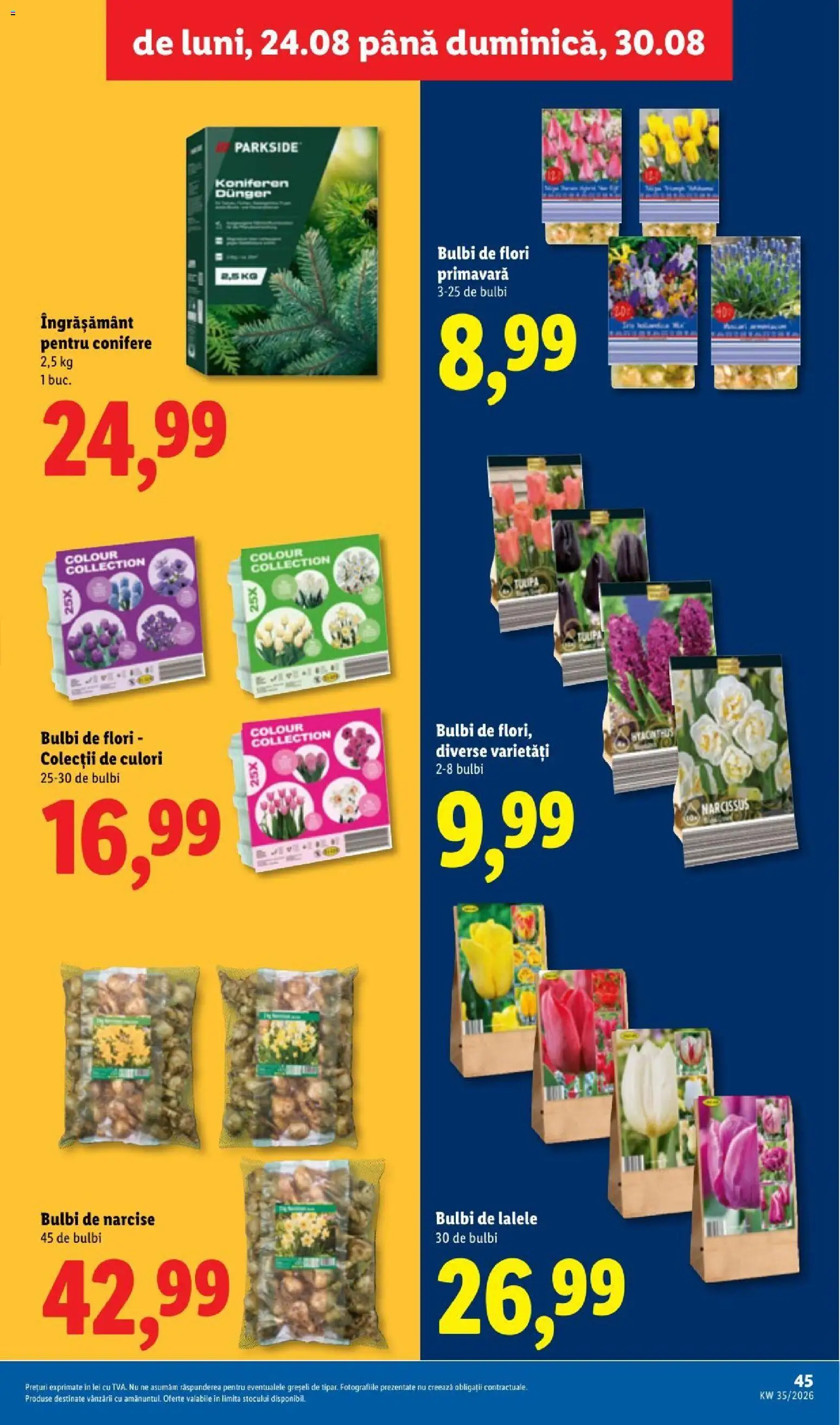 Catalog LIDL 24 - 29 August 2026 | Pagina 45 | Produse: Parkside, Flori