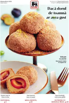 Catalog Mega Image