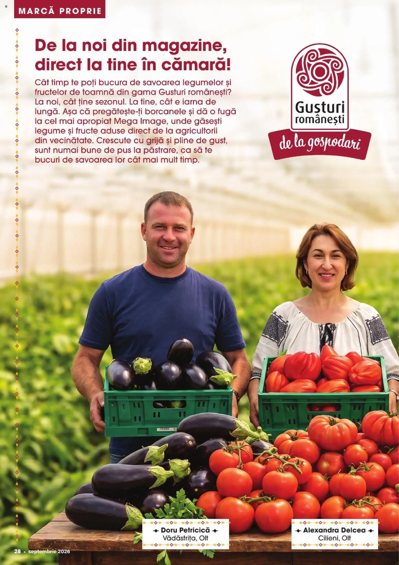 Catalog Mega Image 27 August - 28 Septembrie 2026 | Pagina 28 | Produse: Legume, Fructe