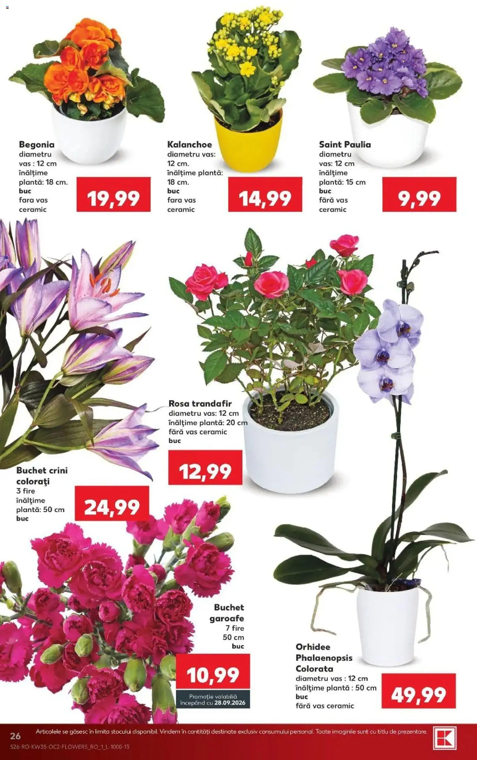 Catalog Kaufland 26 - 31 August 2026 | Pagina 26 | Produse: Trandafir, Orhidee