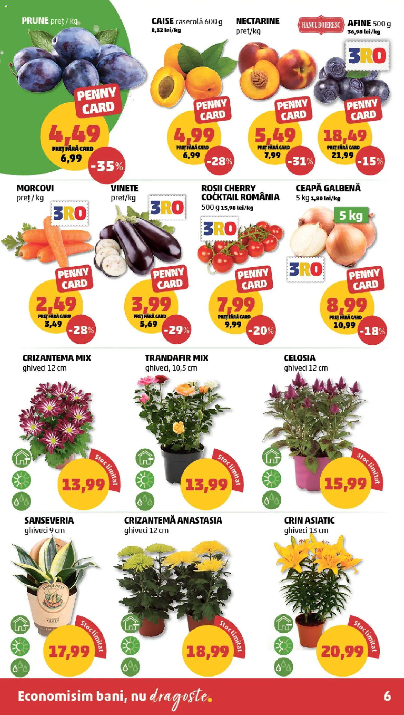 Catalog PENNY Market 19 - 24 August 2026 | Pagina 6 | Produse: Afine, Nectarine, Caserola, Ceapă galbenă