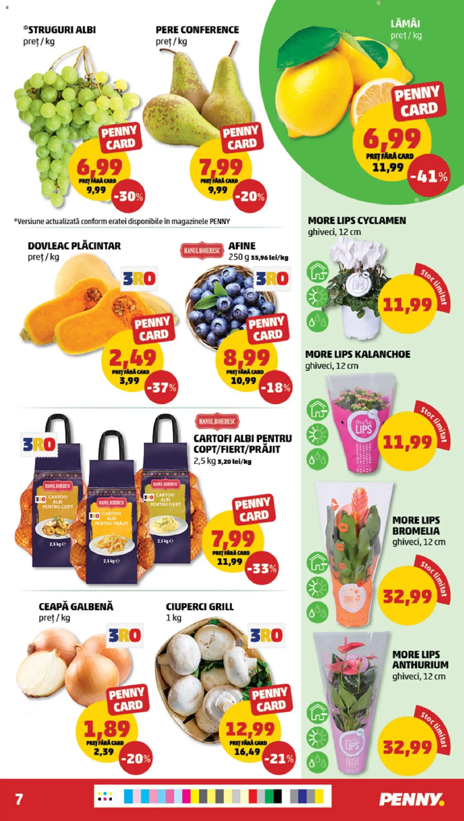Catalog PENNY Market 26 - 31 August 2026 | Pagina 7 | Produse: Afine, Bromelia, Ciuperci, Pere