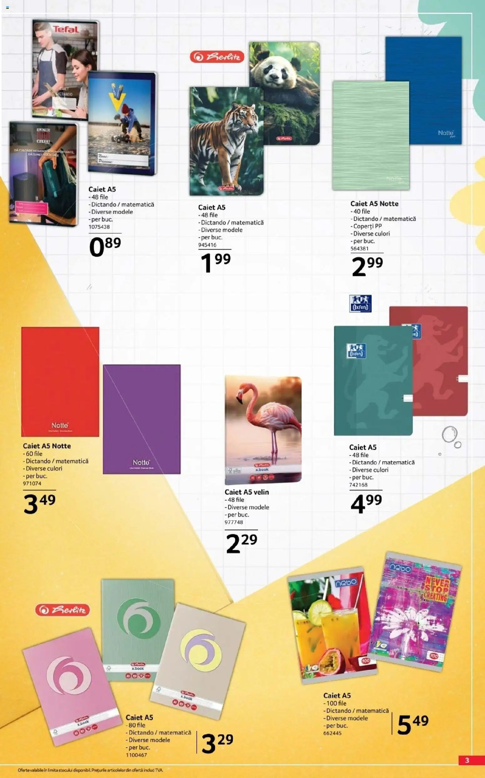 Catalog Selgros 7 August - 19 Septembrie 2026 | Pagina 3