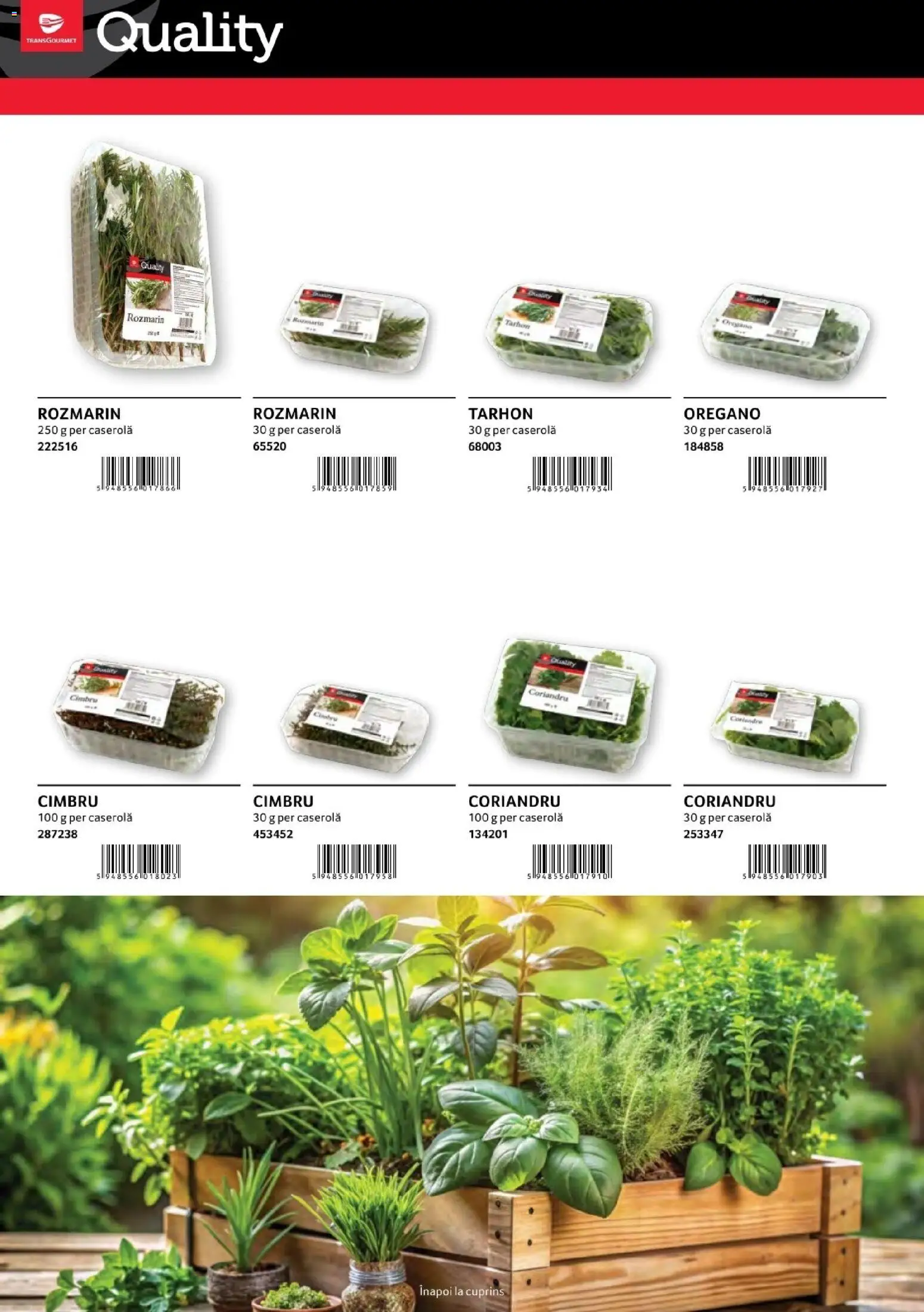 Catalog Selgros 1 August - 30 Decembrie 2026 | Pagina 36 | Produse: Caserola