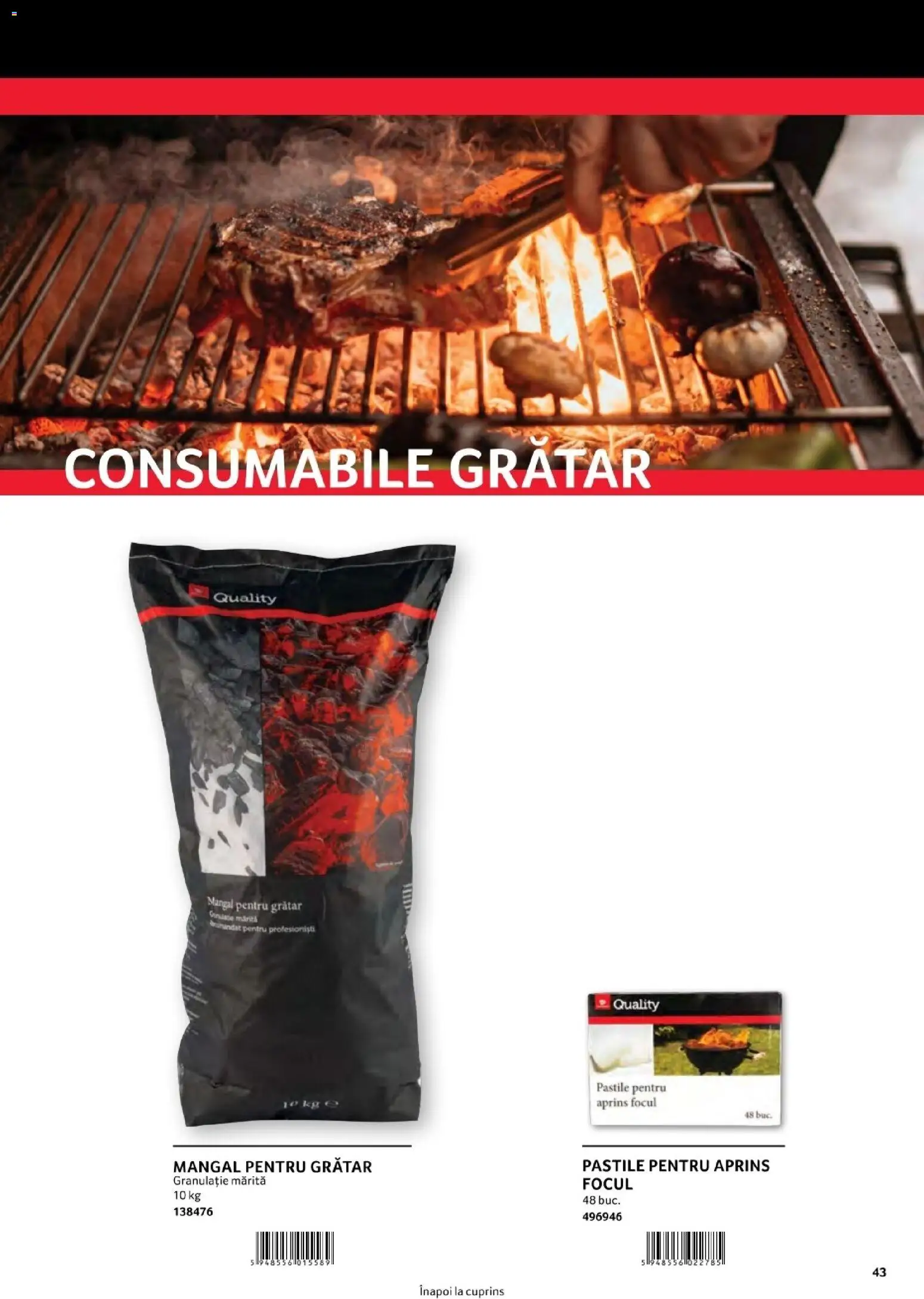 Catalog Selgros 1 August - 30 Decembrie 2026 | Pagina 43 | Produse: Grătar