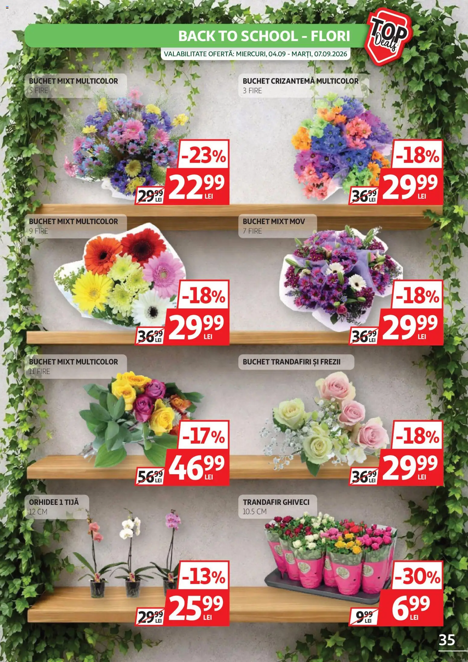 Catalog Auchan 26 August - 7 Septembrie 2026 | Pagina 35 | Produse: Trandafir, Orhidee, Ghiveci, Flori