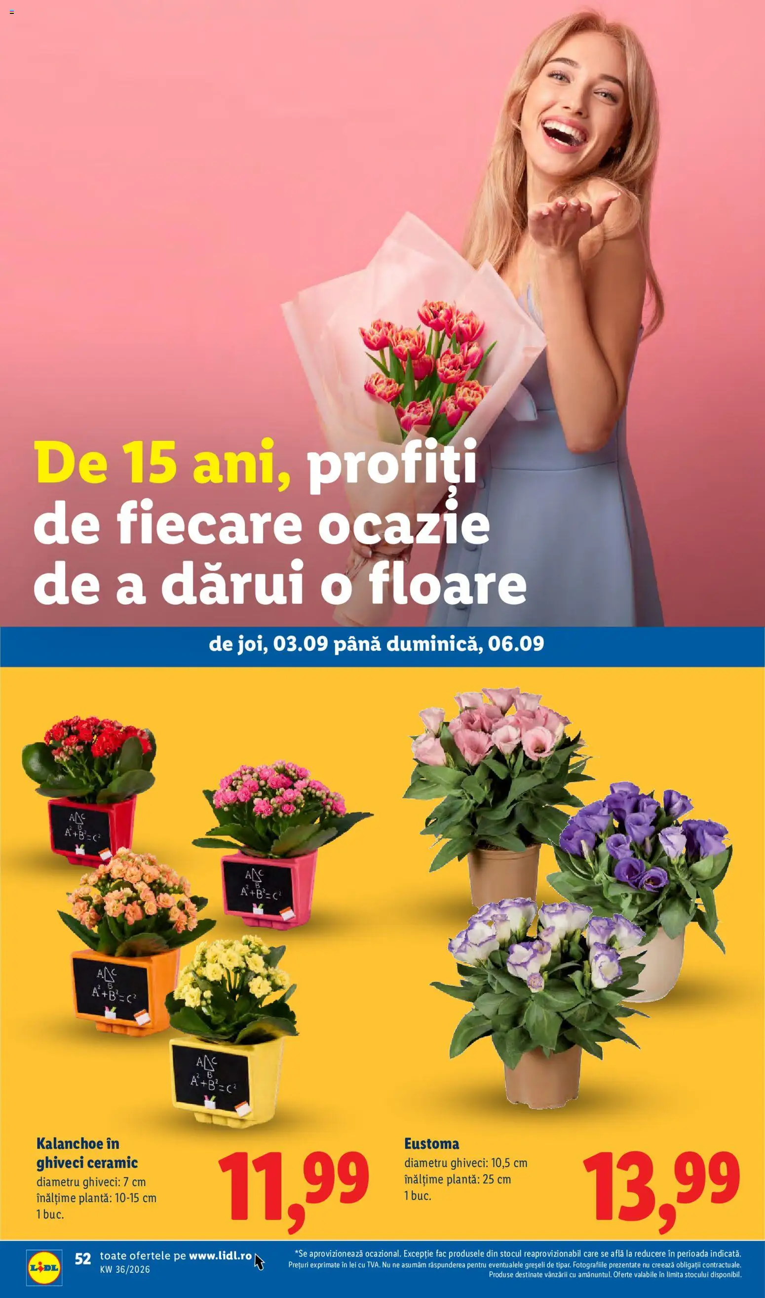 Catalog LIDL 31 August - 5 Septembrie 2026 | Pagina 52 | Produse: Ghiveci