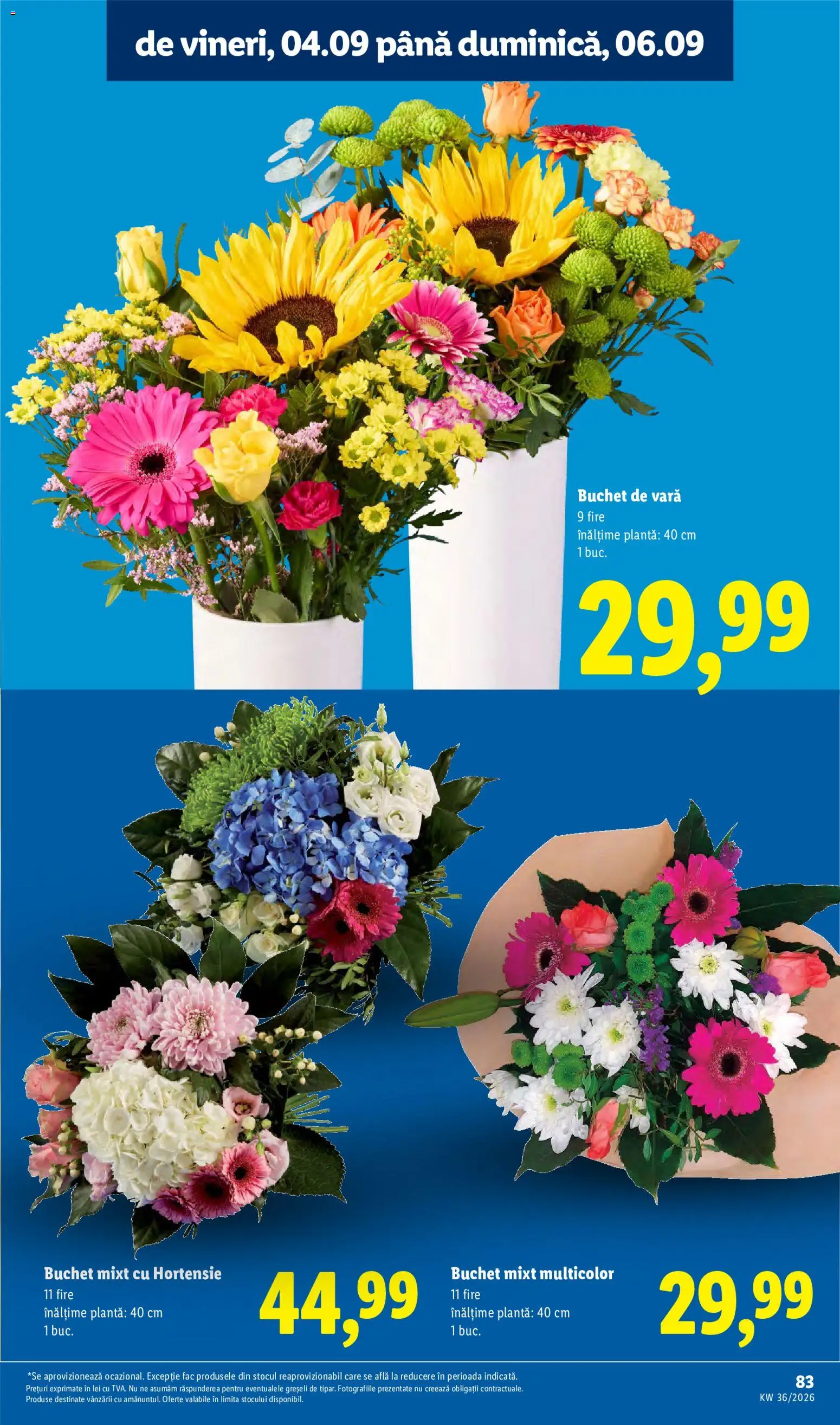 Catalog LIDL 31 August - 5 Septembrie 2026 | Pagina 83
