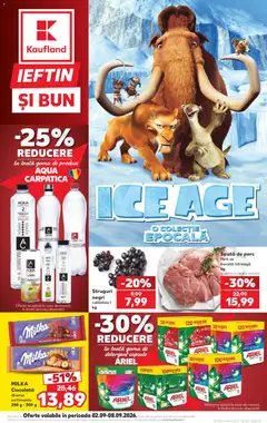 Catalog Kaufland