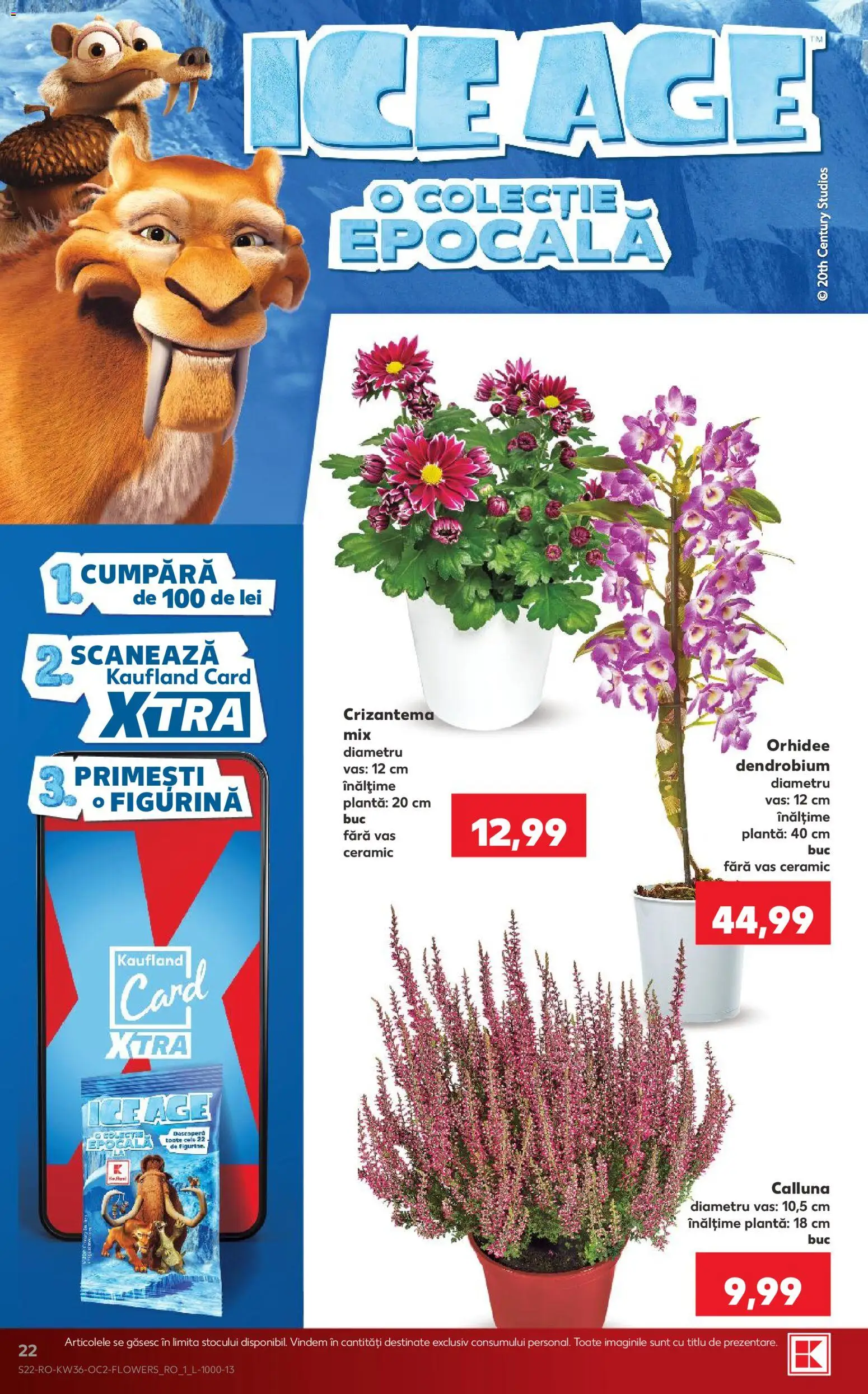 Catalog Kaufland 2 - 7 Septembrie 2026 | Pagina 22 | Produse: Orhidee