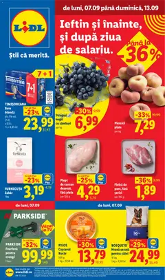 Catalog LIDL