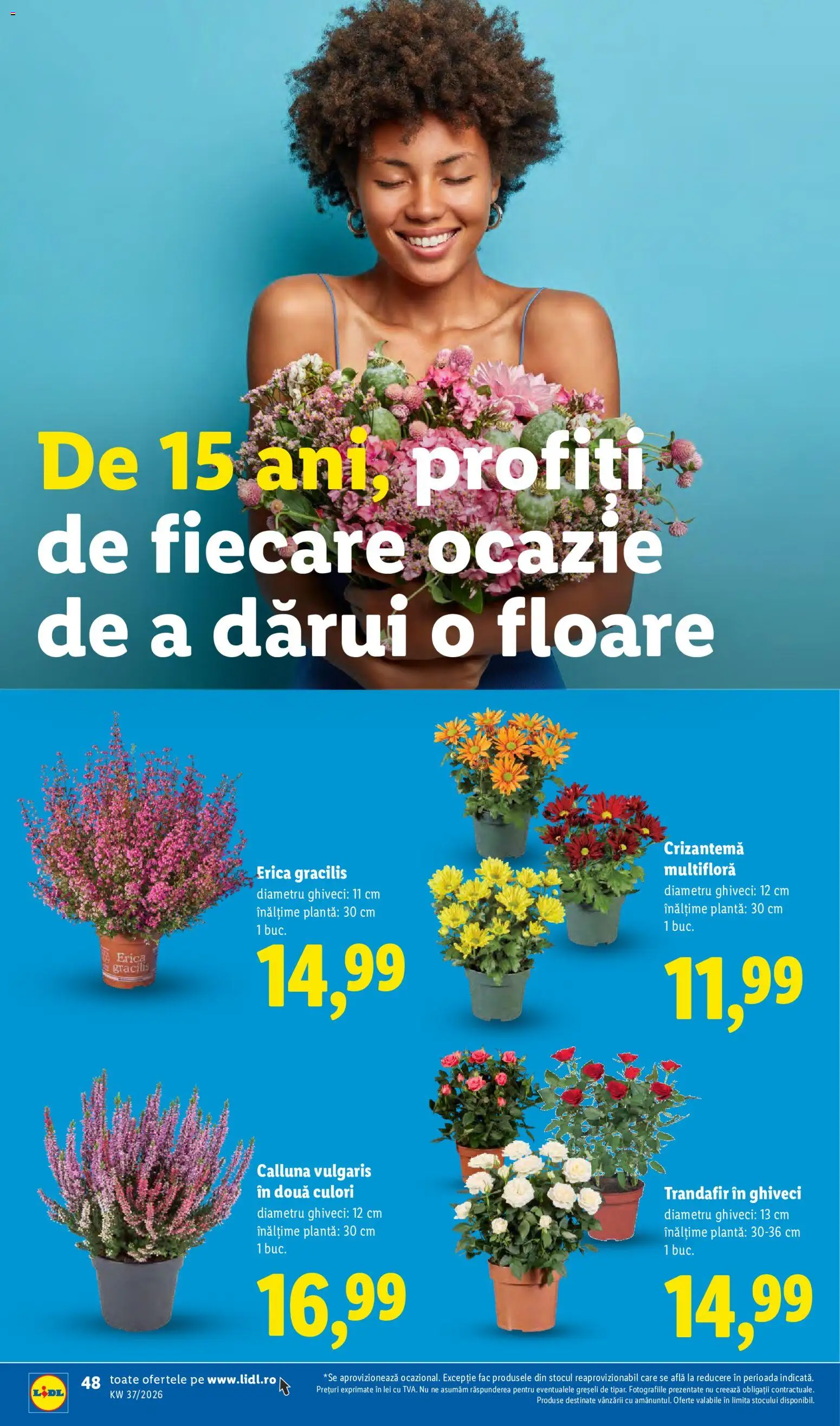 Catalog LIDL 7 - 12 Septembrie 2026 | Pagina 48 | Produse: Trandafir, Ghiveci