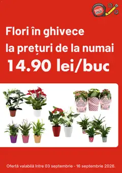 Catalog Brico Depot