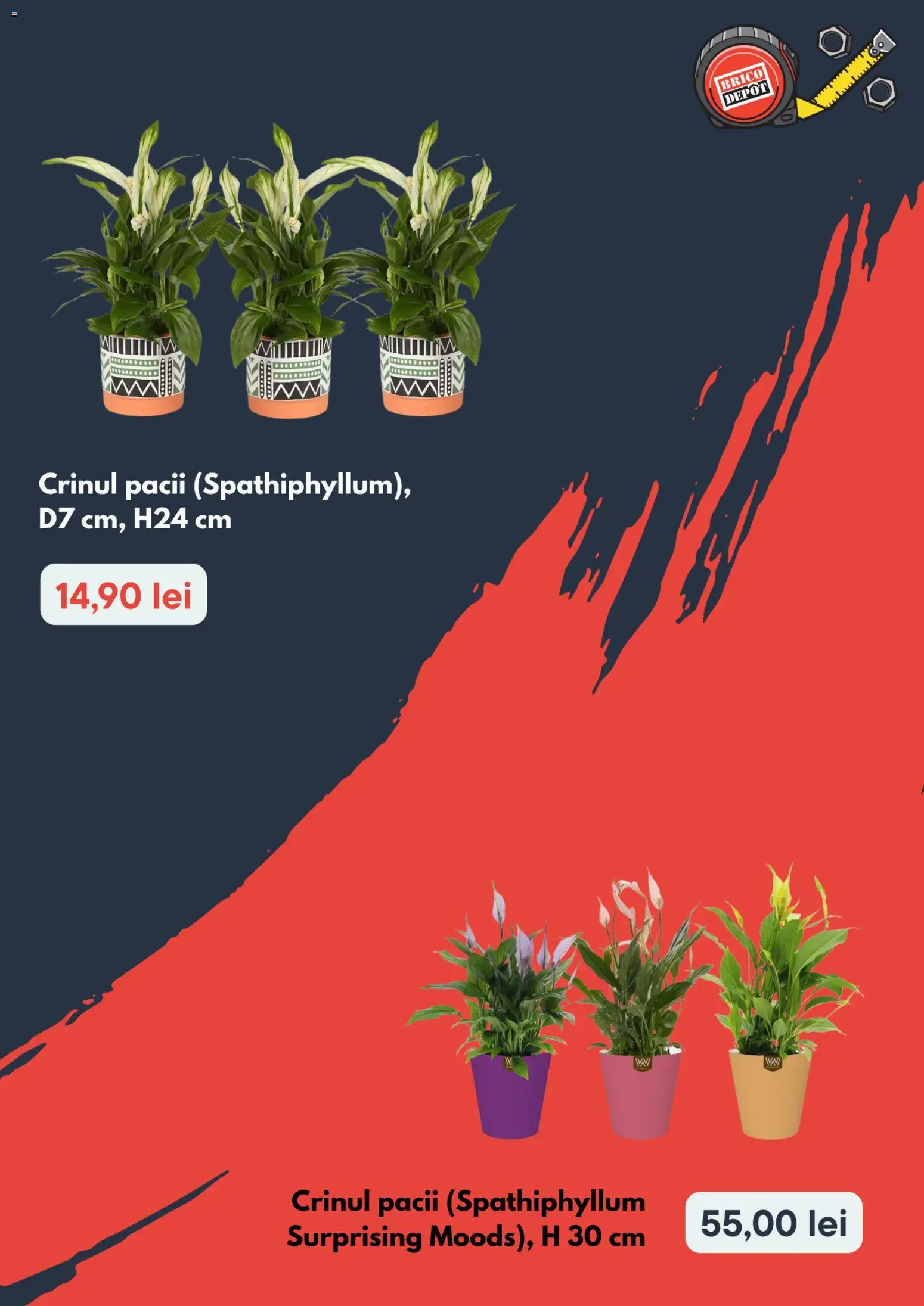 Catalog Brico Depot 3 - 15 Septembrie 2026 | Pagina 2