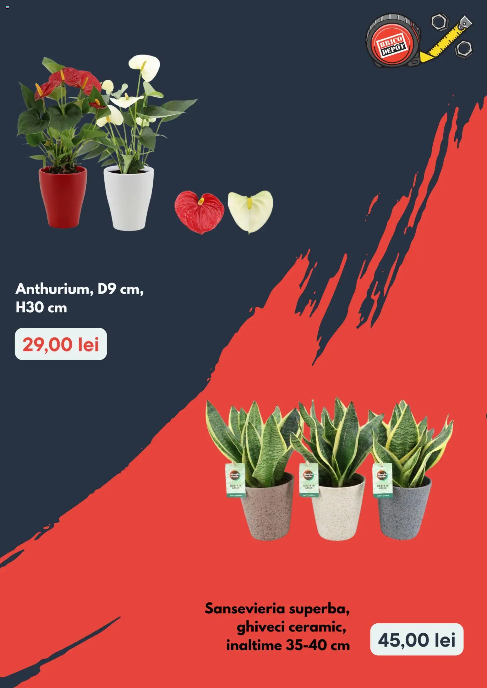 Catalog Brico Depot 3 - 15 Septembrie 2026 | Pagina 3 | Produse: Ghiveci