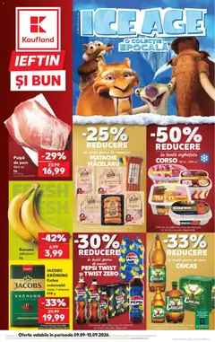 Catalog Kaufland