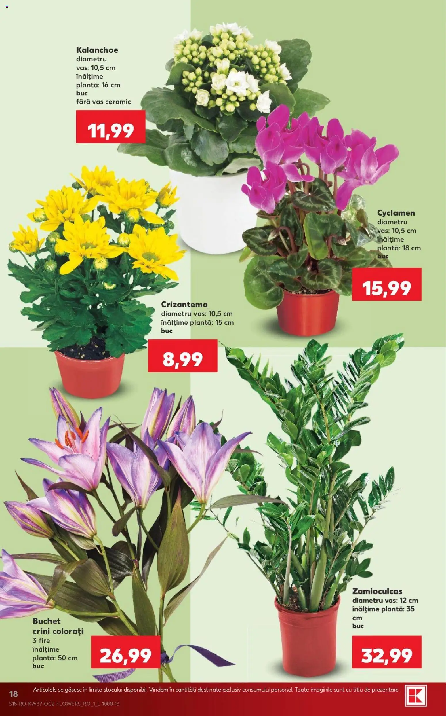 Catalog Kaufland 9 - 14 Septembrie 2026 | Pagina 18