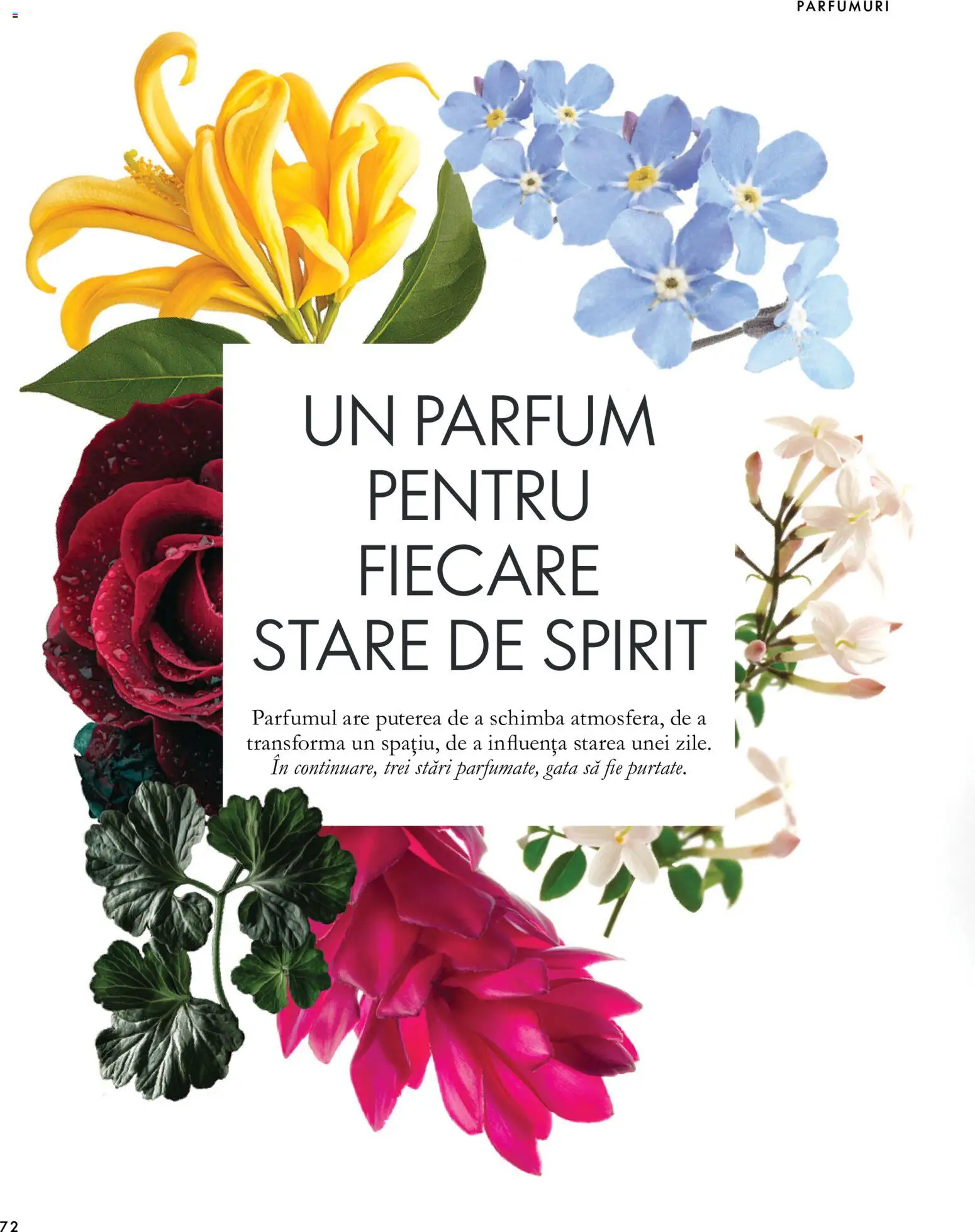 Catalog Oriflame 30 Septembrie - 9 Noiembrie 2026 | Pagina 72 | Produse: Parfum